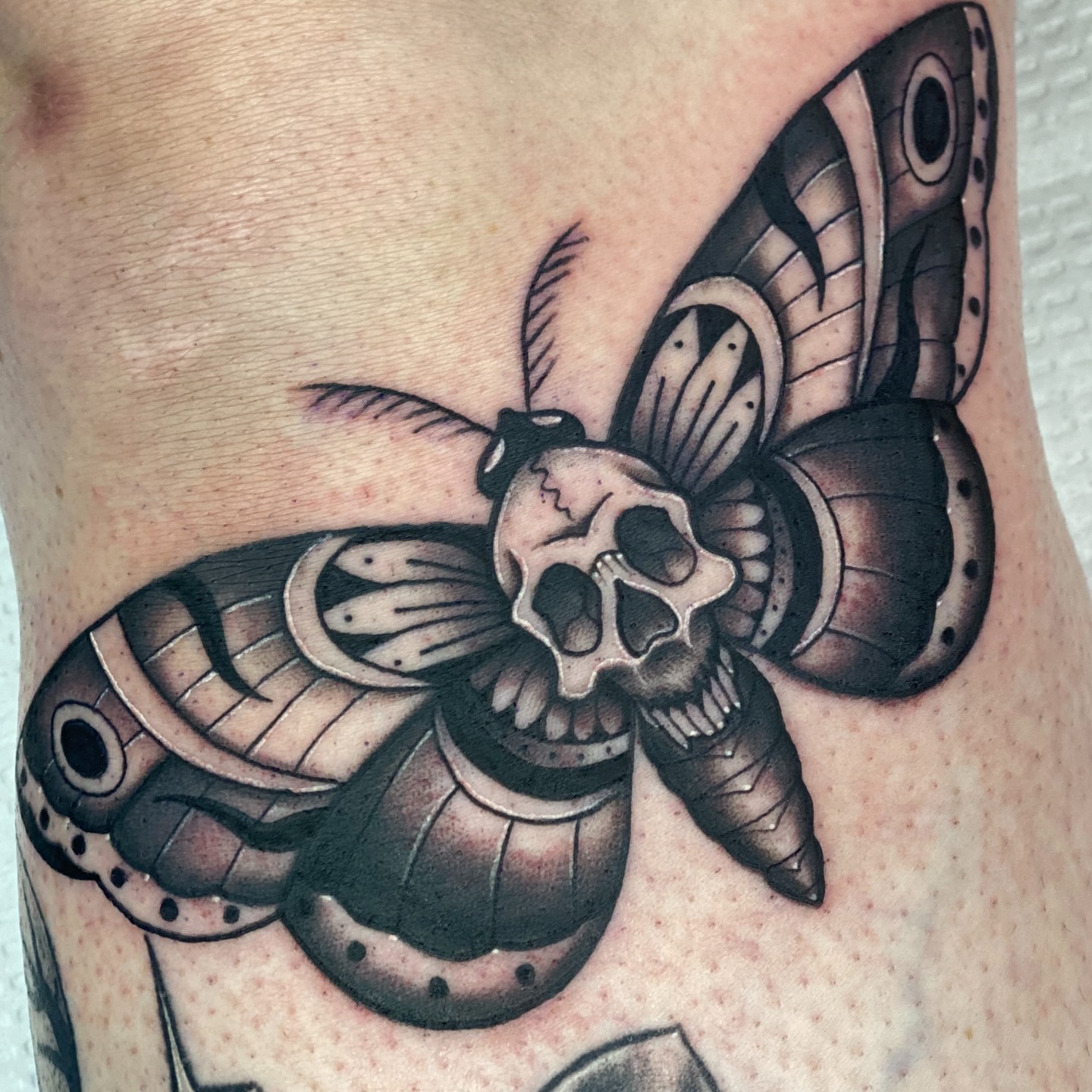 Moth and skull black and grey tattoo on the forearm by Sideshow Danny