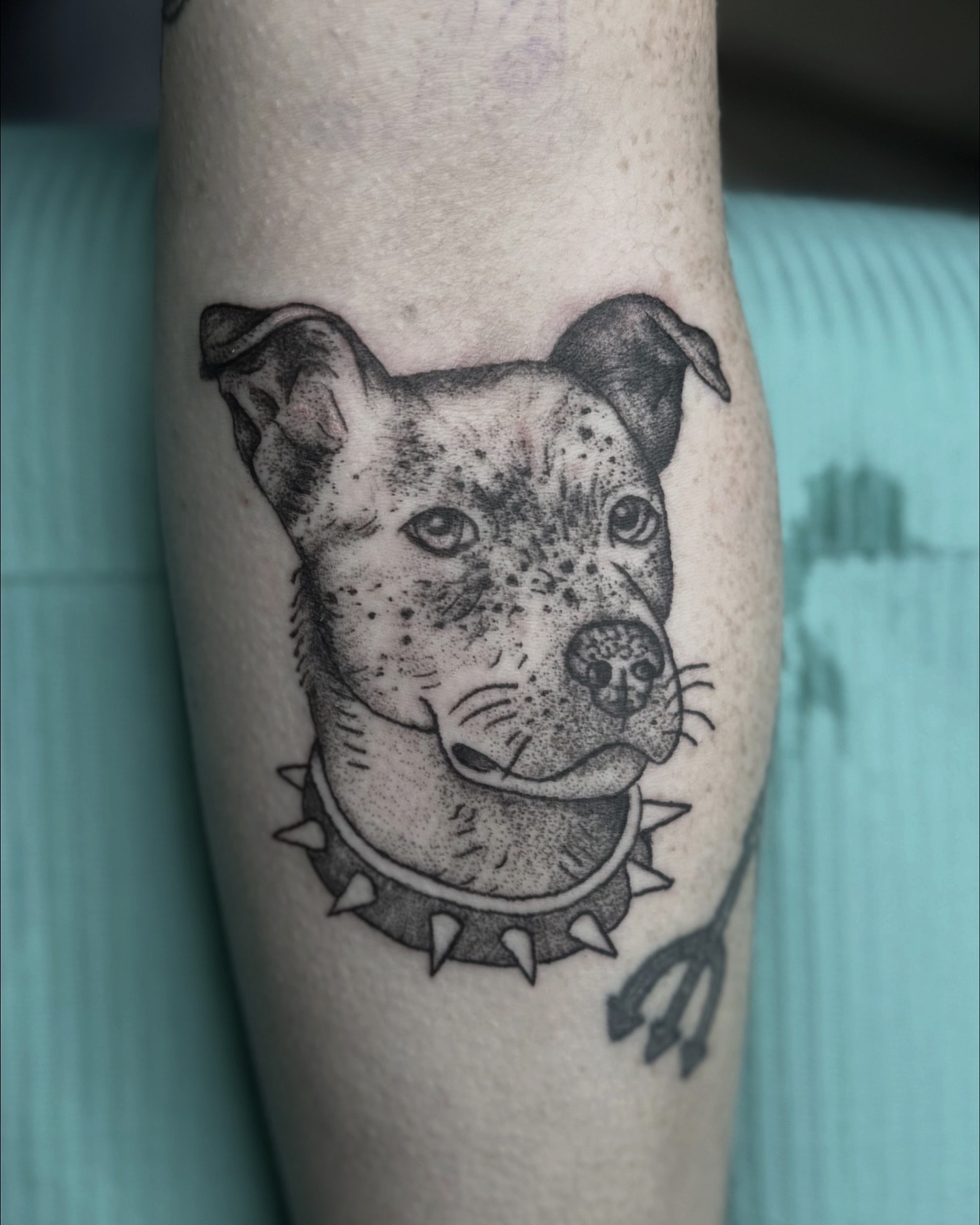 Pitbull dotwork tattoo on the forearm by Tattoo Artist, Philadelphia, Pennsylvania
