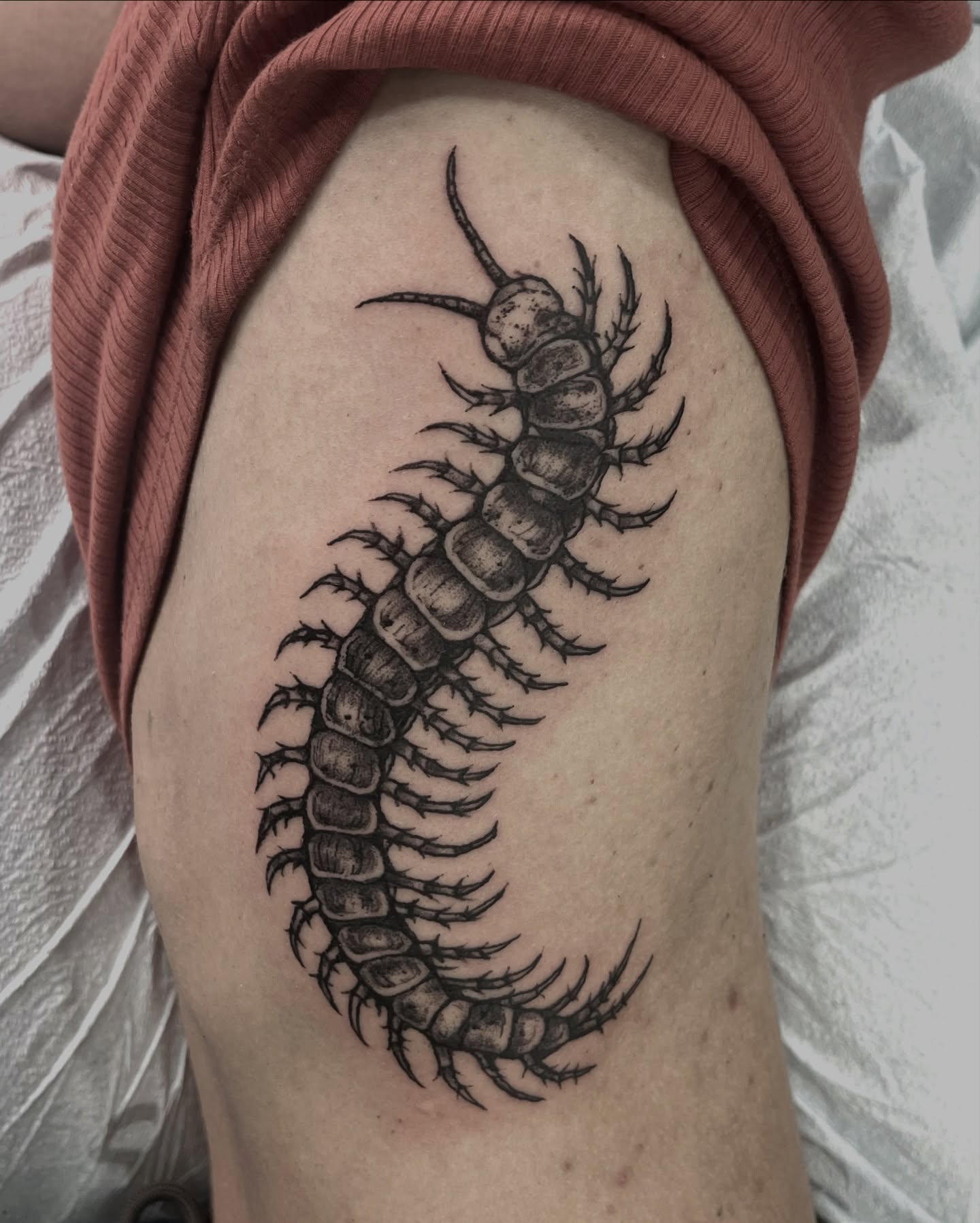 Centipede black and grey tattoo on the thigh by Tattoo Artist, Philadelphia, Pennsylvania