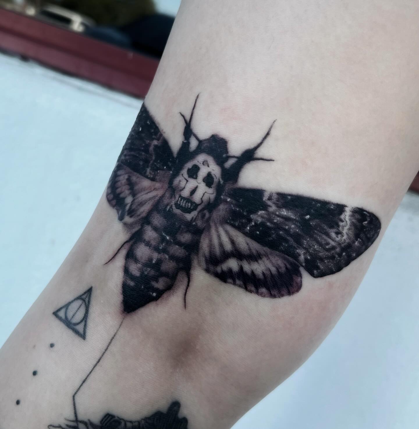 Death moth dark realism tattoo on the forearm by 𝖎 𝖆𝖒 𝖗𝖔𝖙𝖙𝖎𝖓𝖌 𝖜𝖎𝖙𝖍 𝖞𝖔𝖚