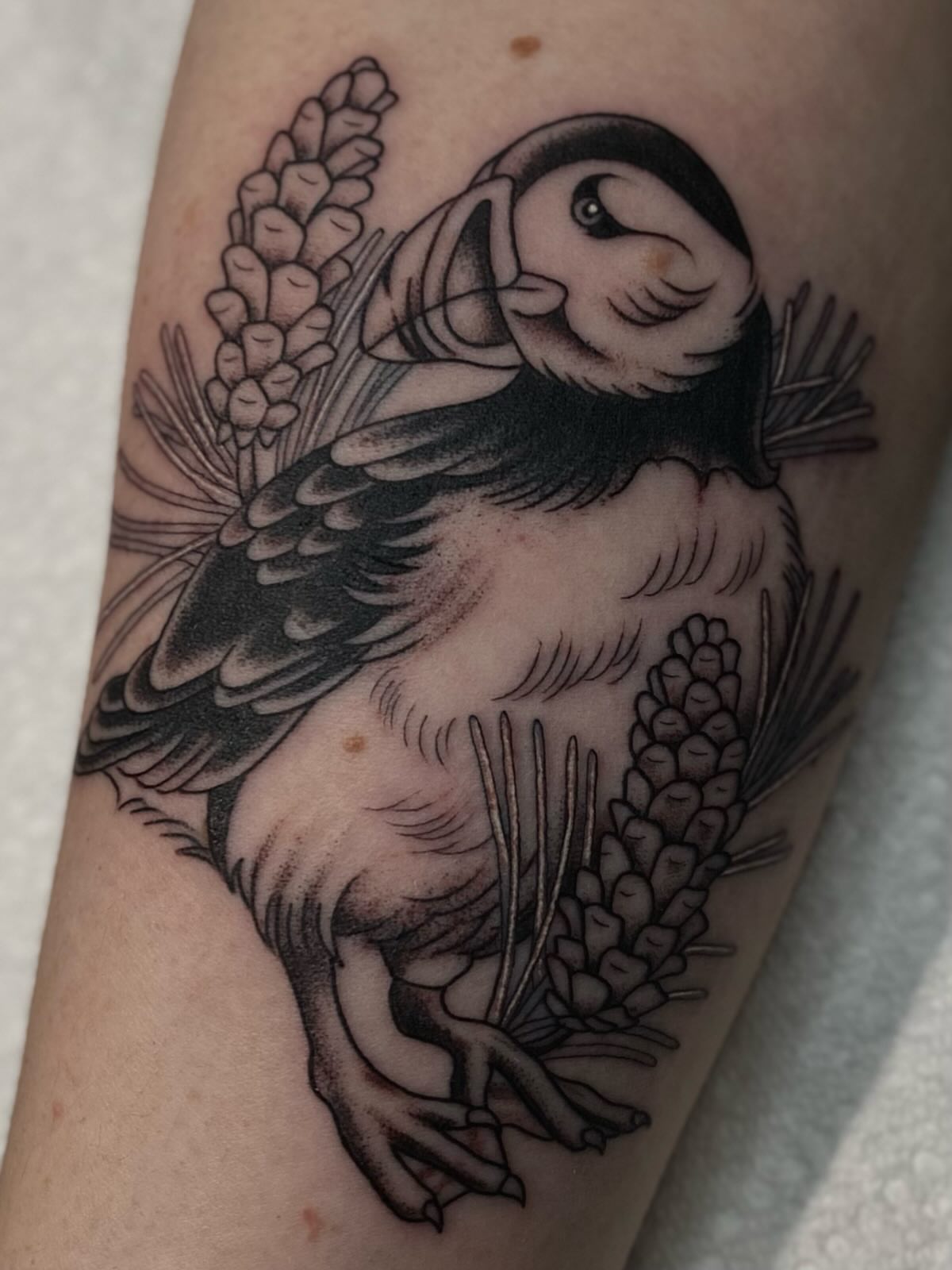 Puffin black and grey tattoo on the forearm by Kiera ❤️‍🔥