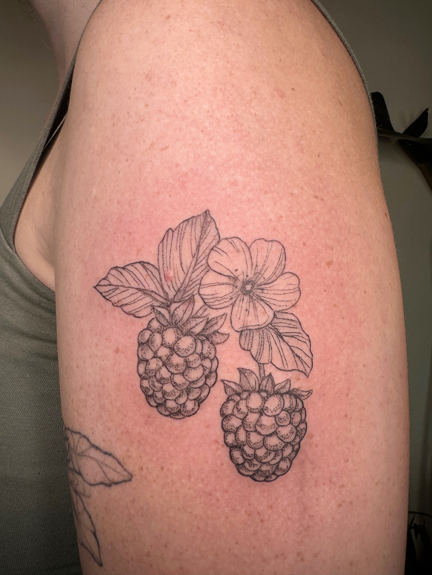 Raspberries and flower black and grey tattoo on the thigh by kenzie hunter