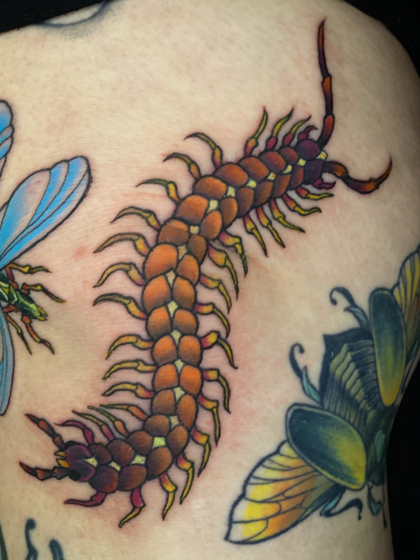 Tattoo by @sethmullintattoos — american_traditional