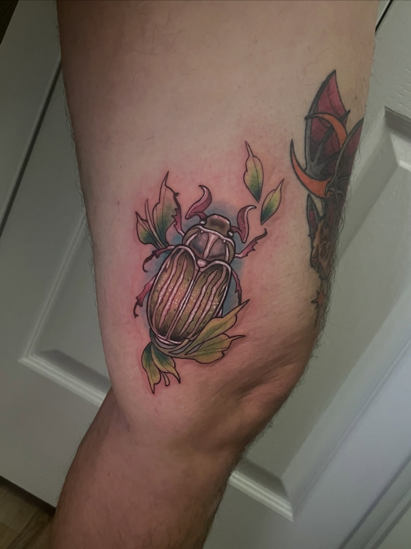 Scarab beetle realism tattoo on the forearm by 𝑲𝒂𝒊𝒕 𝑨𝒏𝒅𝒆𝒓𝒔𝒆𝒏