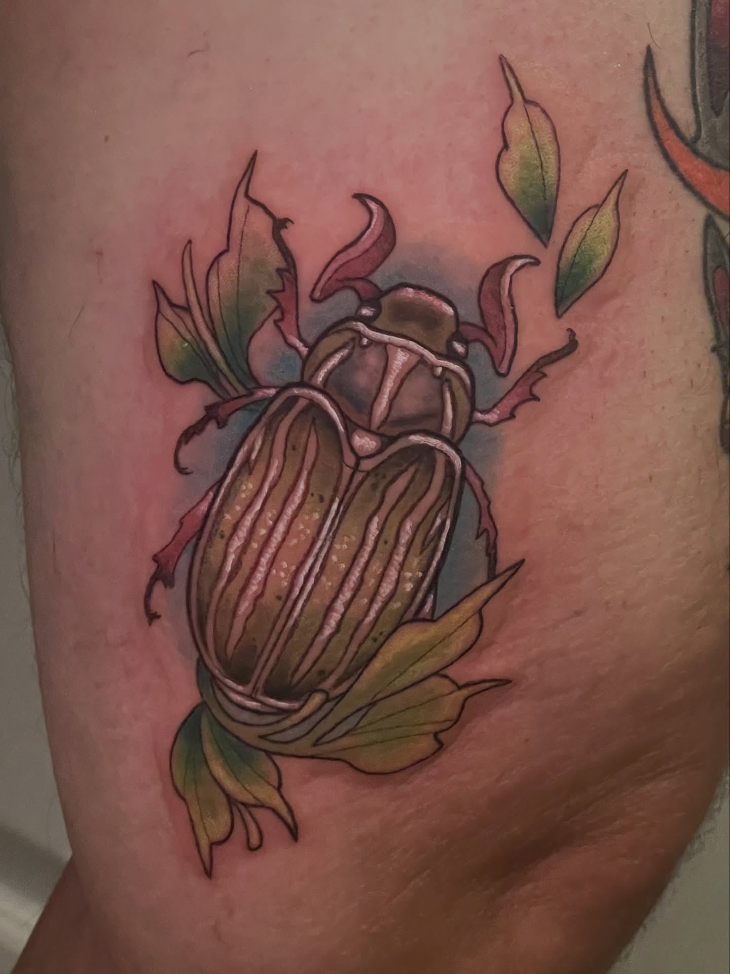 Scarab beetle American traditional tattoo on the thigh by 𝑲𝒂𝒊𝒕 𝑨𝒏𝒅𝒆𝒓𝒔𝒆𝒏