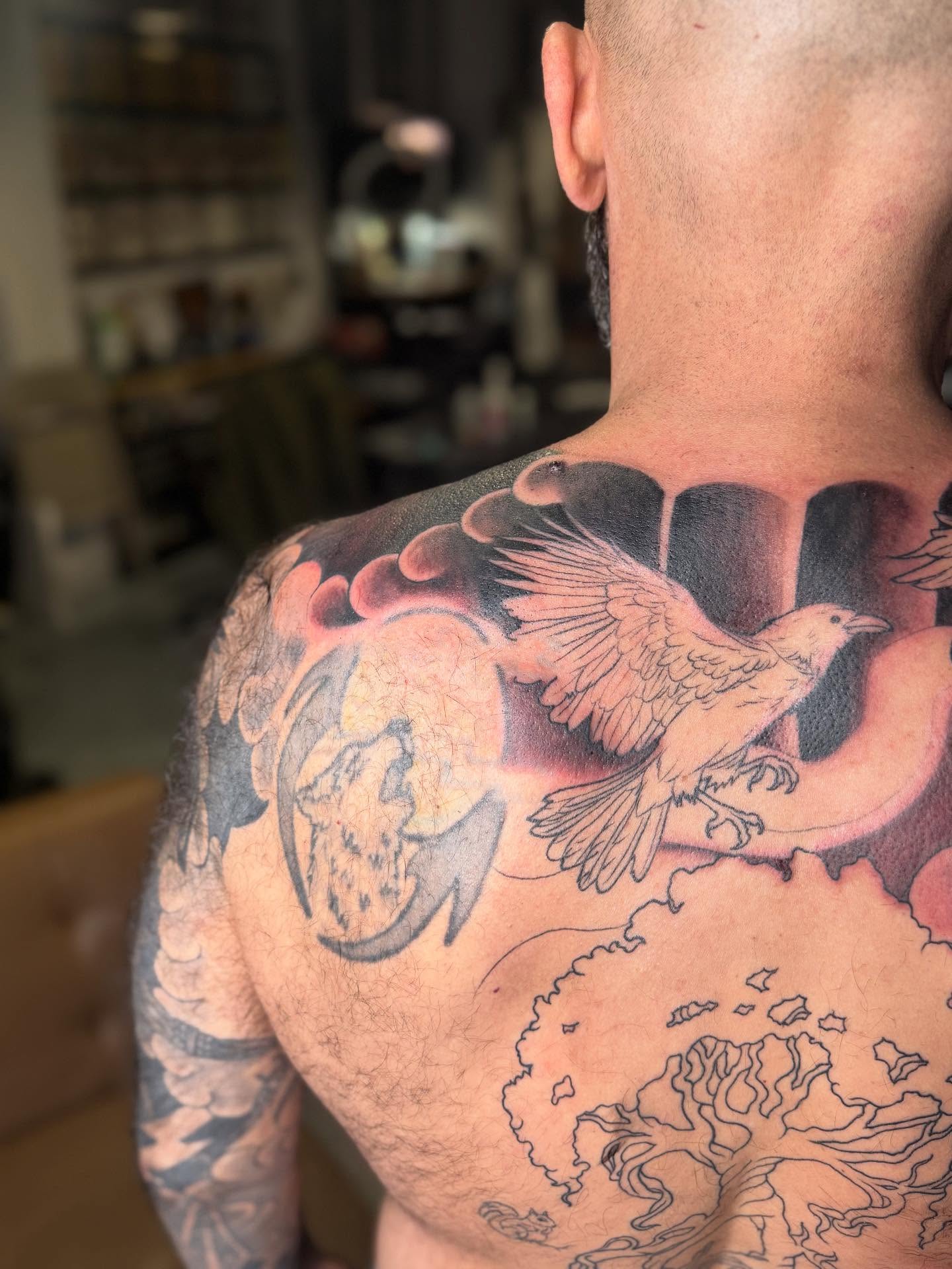 Bird and map American traditional tattoo on the back by Randall Croley El