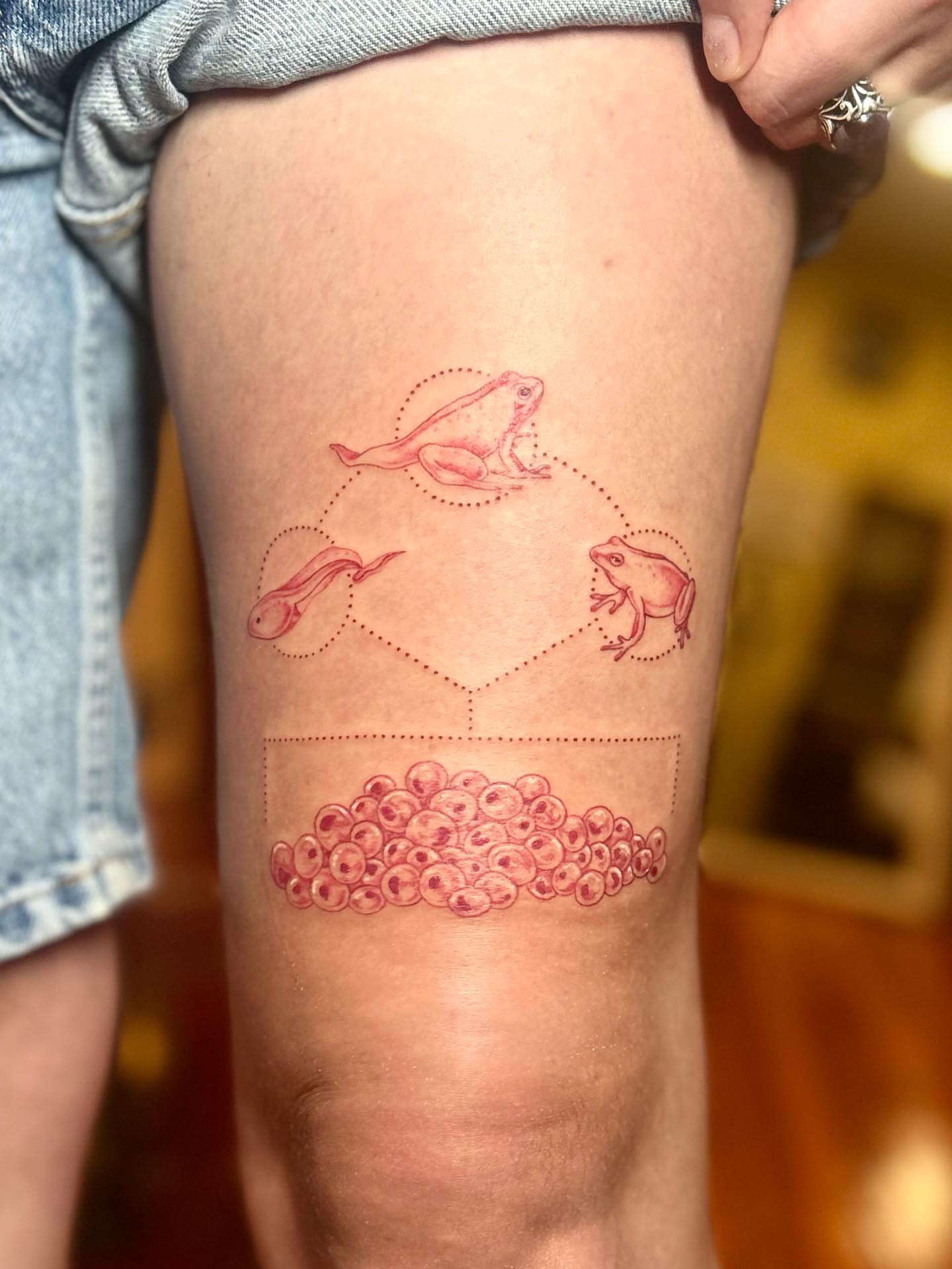 Frog life cycle dotwork tattoo on the thigh by ✧✦ ☻ ✦✧