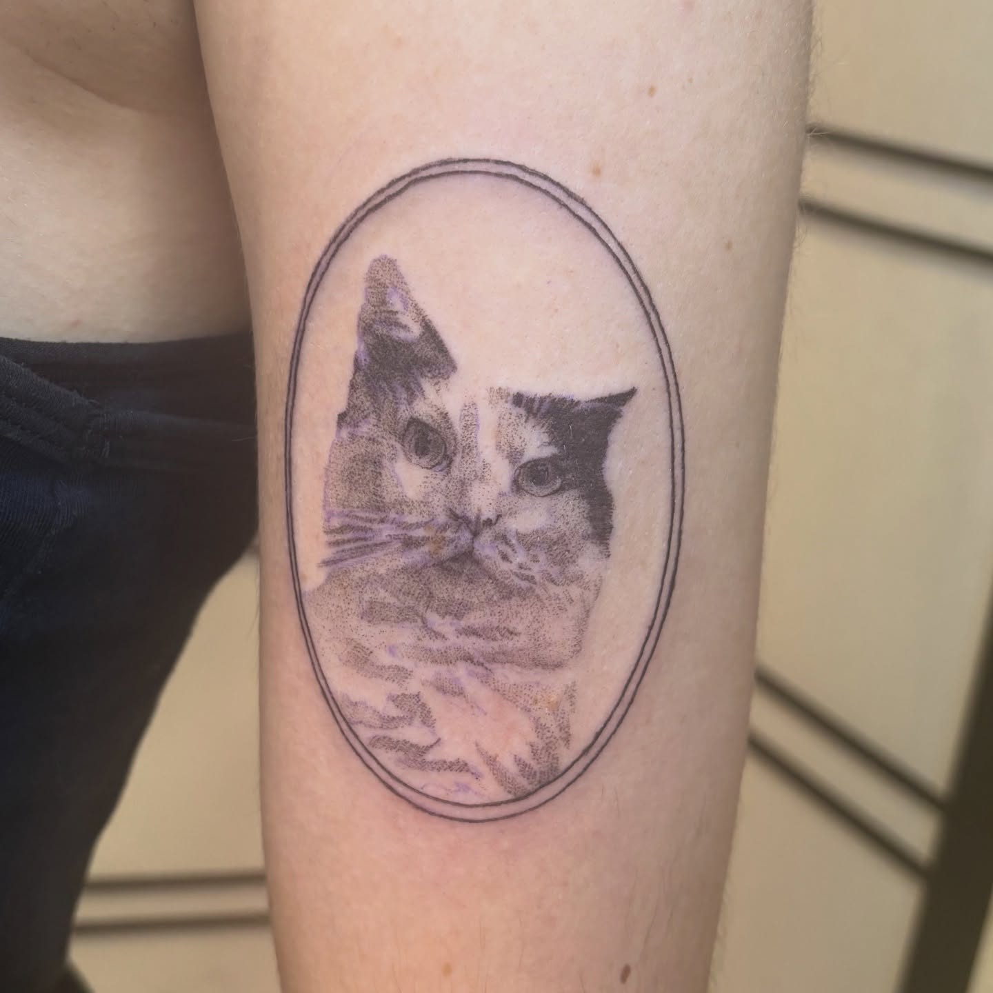 Cat dotwork tattoo on the forearm by ★ Val! ★ Tattoo Artist