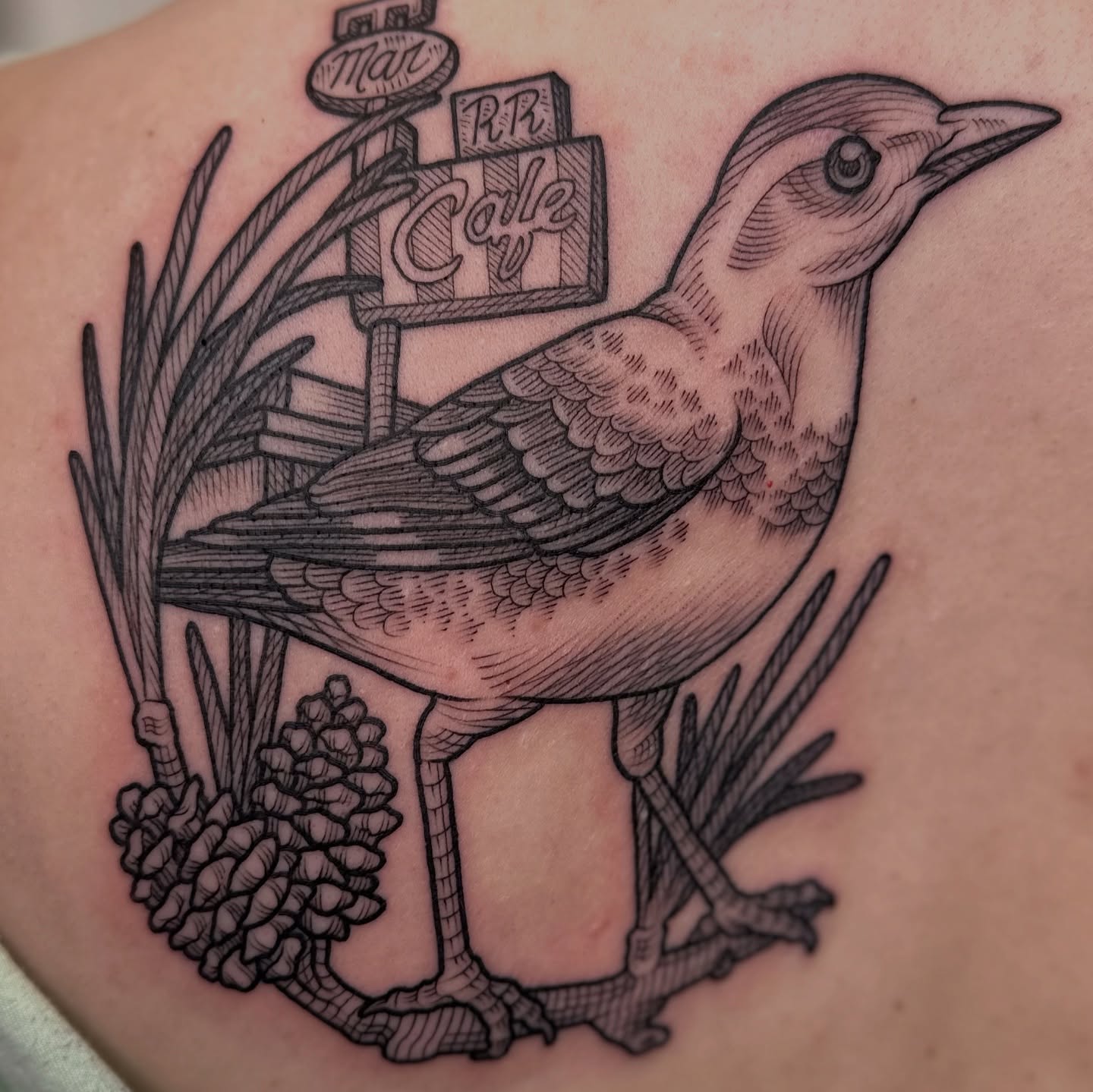 Bird black and grey tattoo on the shoulder by Taylor 🍂☕️