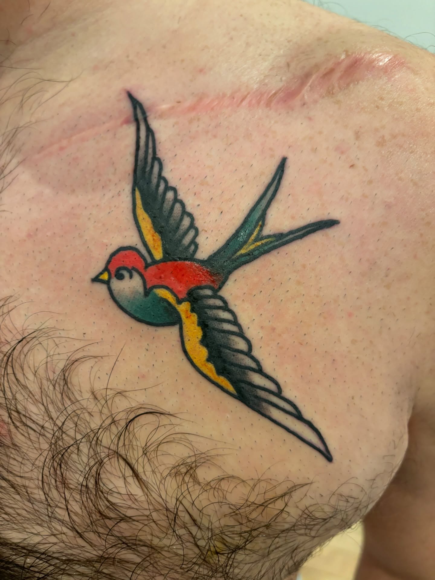 Swallow American traditional tattoo on the shoulder by Francis Cassidy