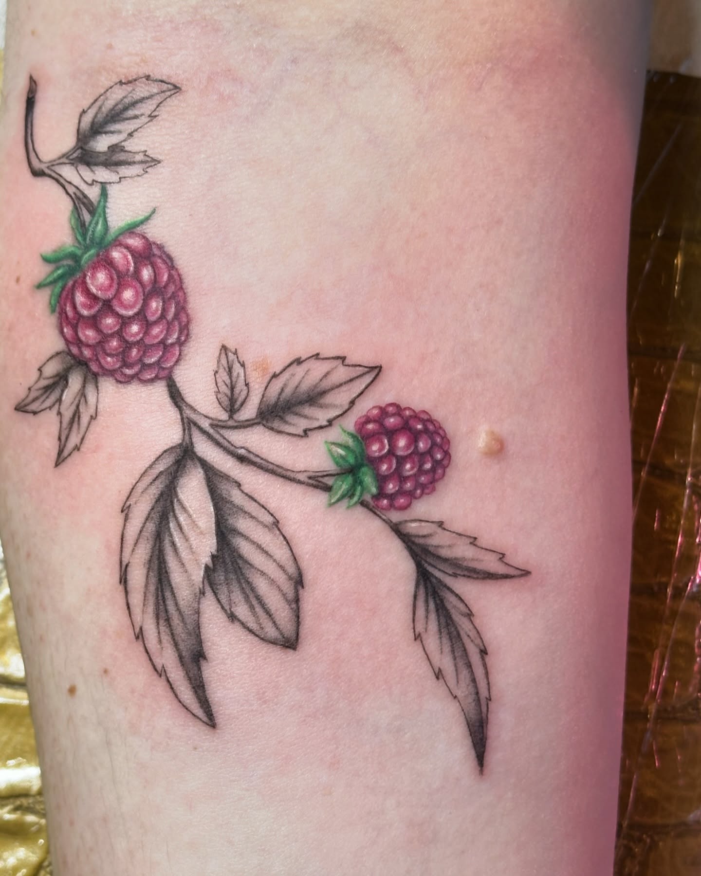 Raspberry branch realism tattoo on the forearm by Tattoo Artist Bay Area - Lorenzo, Berkeley, California