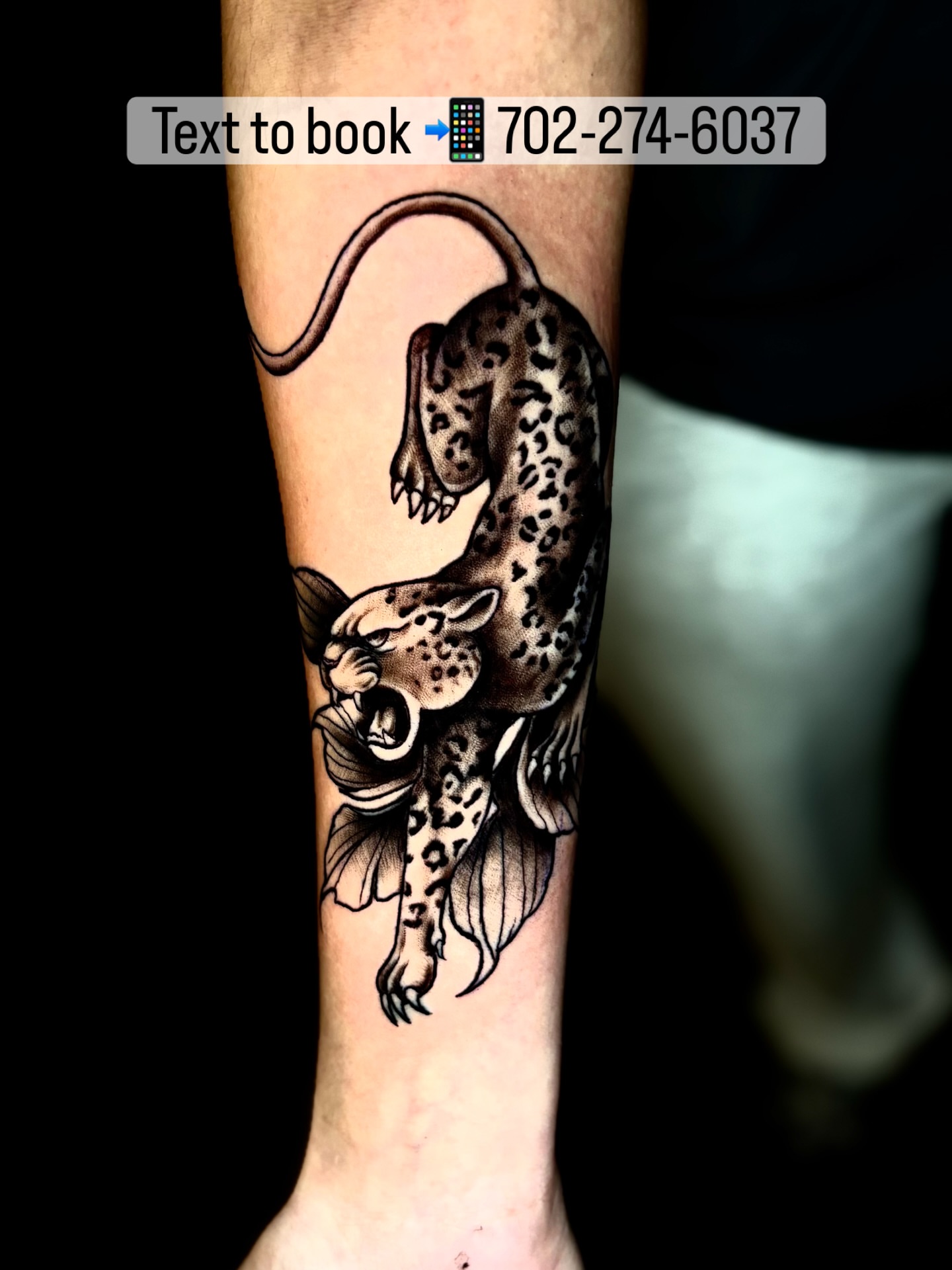Leopard black and grey tattoo on the forearm by Deacon Moser