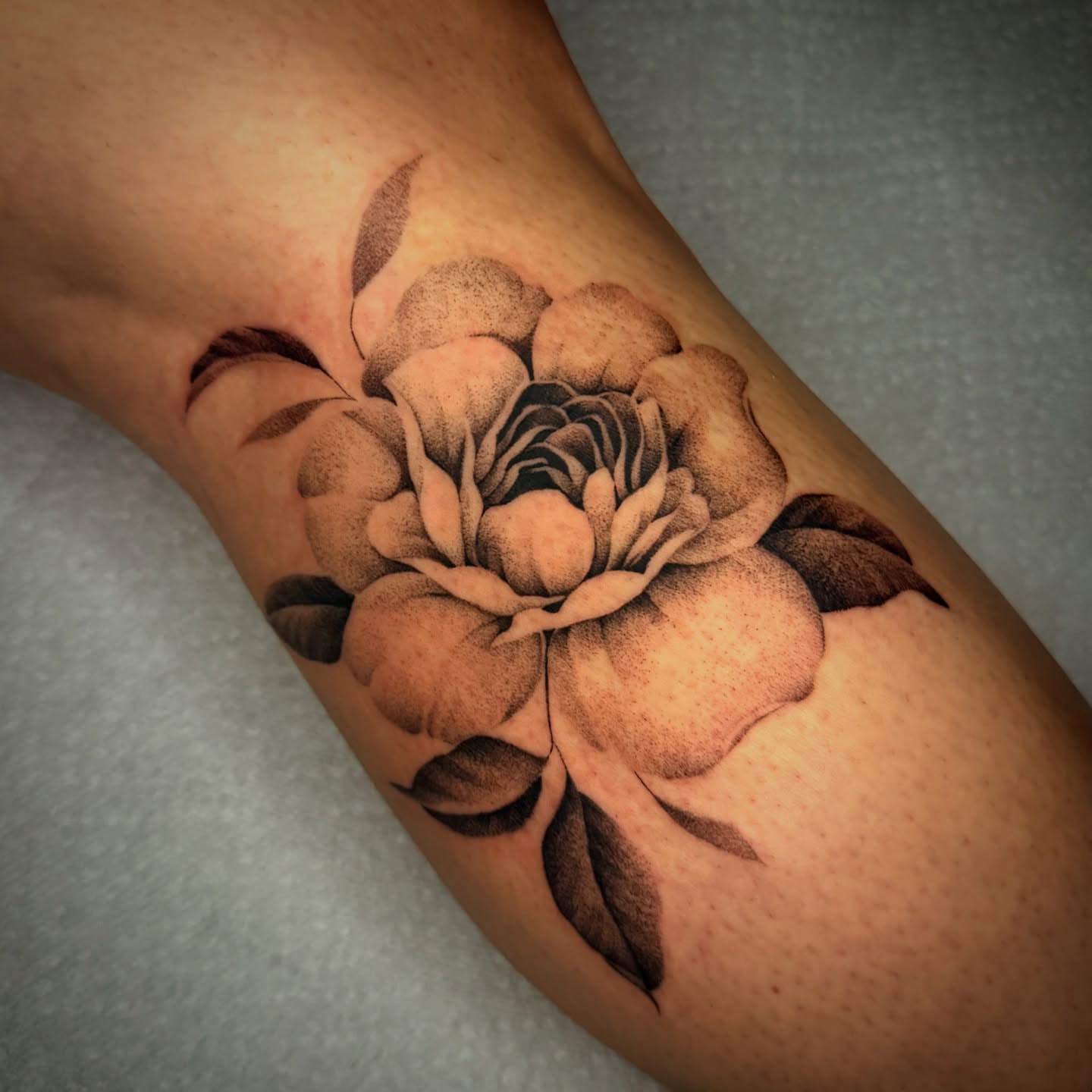 Peony dotwork tattoo on the forearm by Jacob Deirfield, Circleville, Ohio