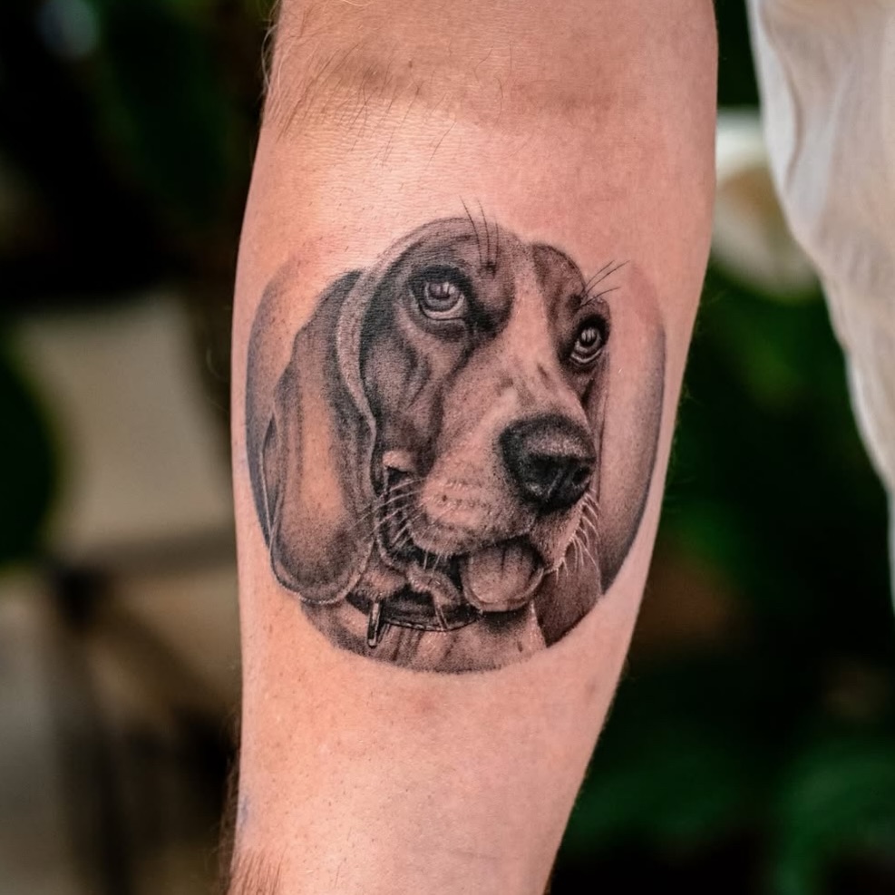 Dog realism tattoo on the forearm by James Fernella, San Francisco, California