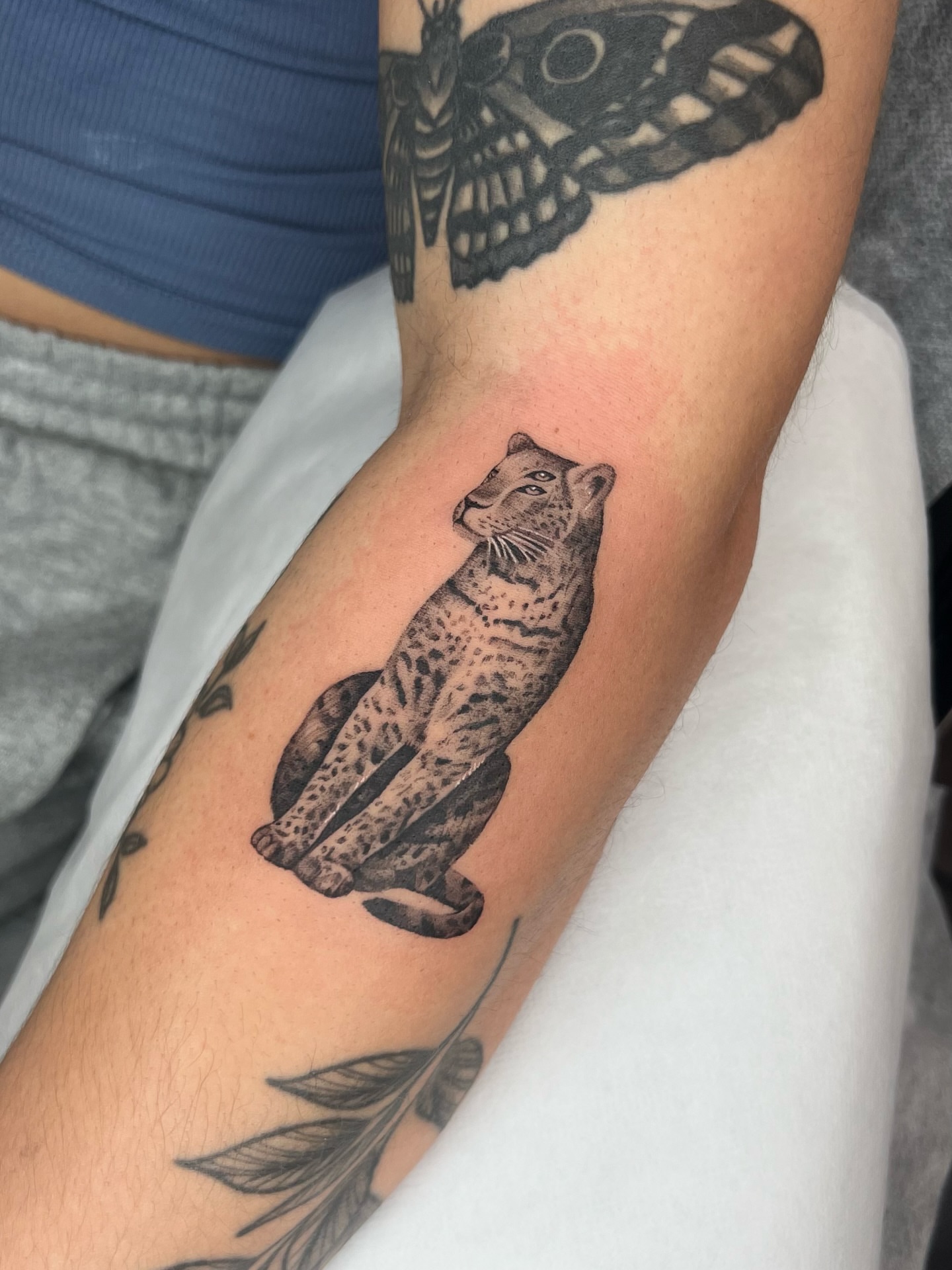 Leopard black and grey tattoo on the forearm by Red