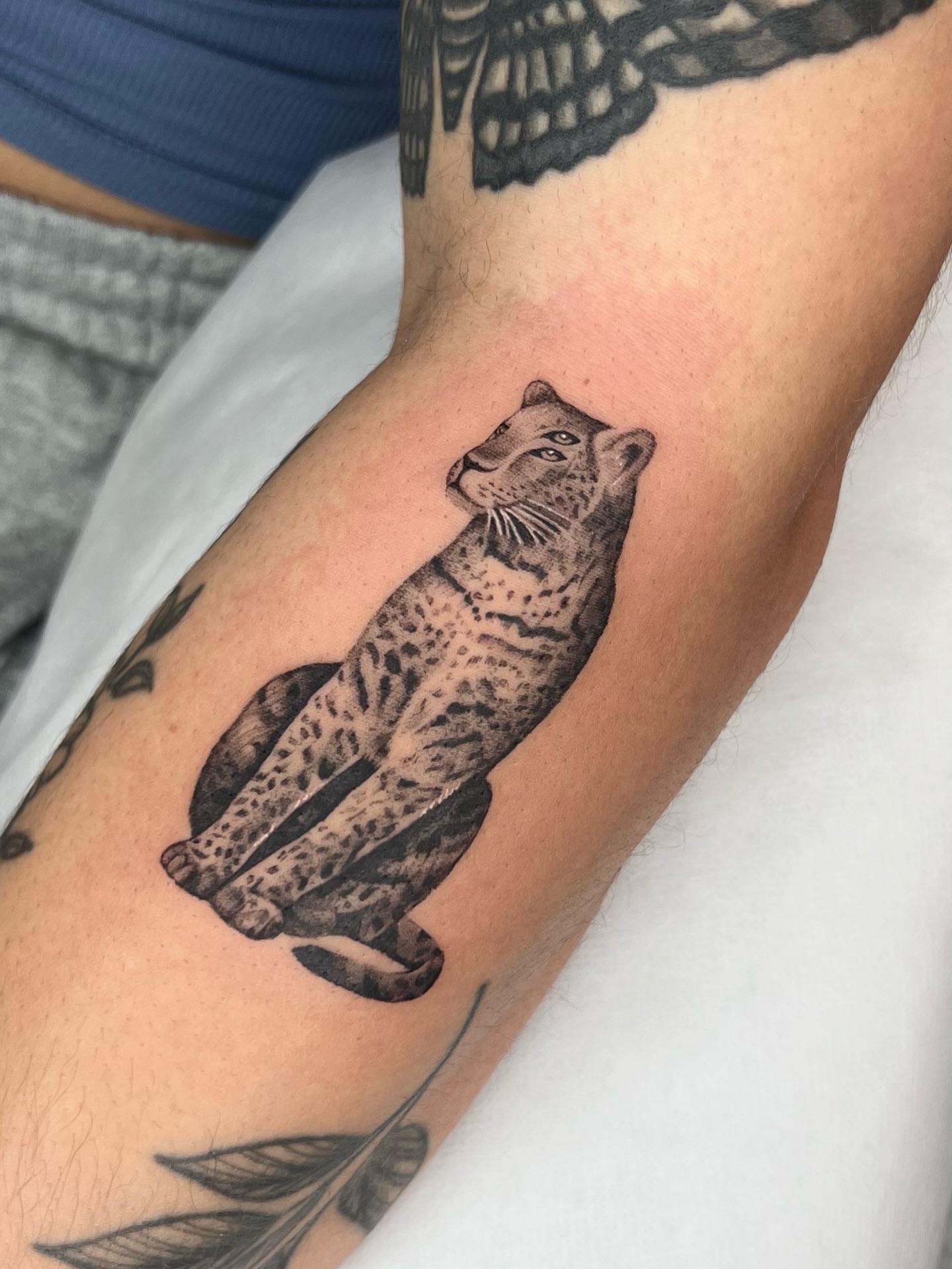 Leopard black and grey tattoo on the forearm by Red