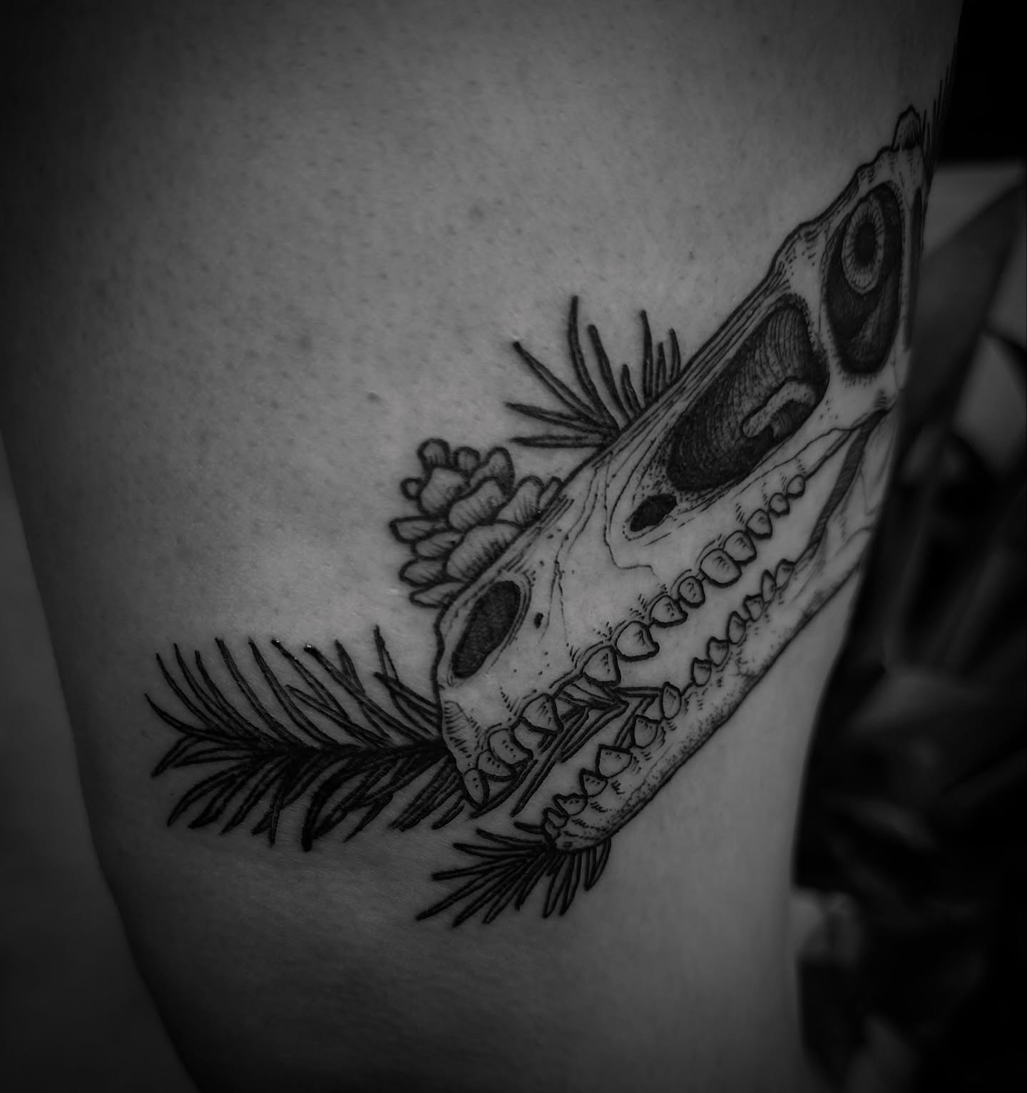 Skull and pine needles black and grey tattoo on the thigh by Desireé Keys, Midvale, Utah