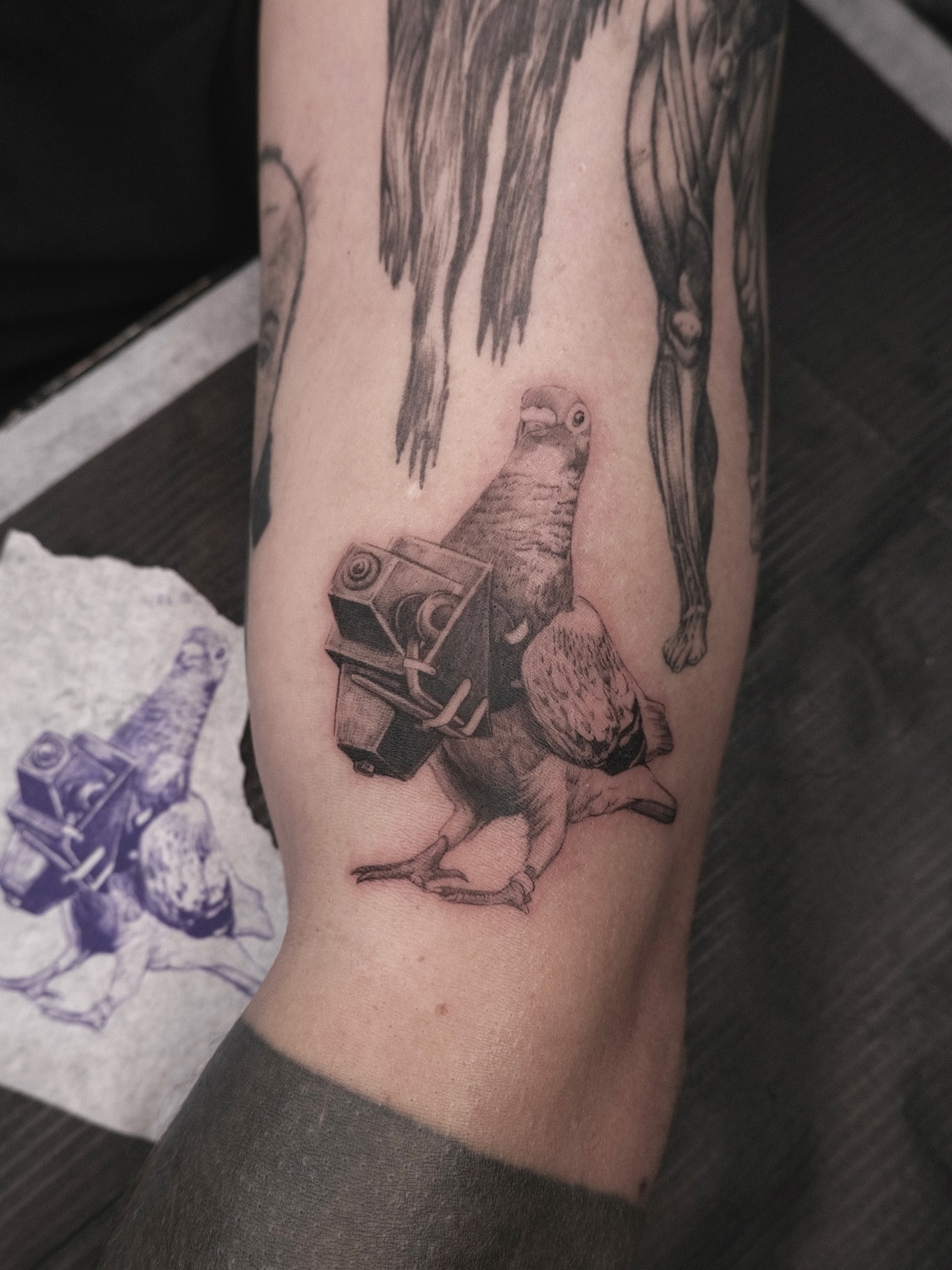 Bird with camera realism tattoo on the forearm by HanaKaki