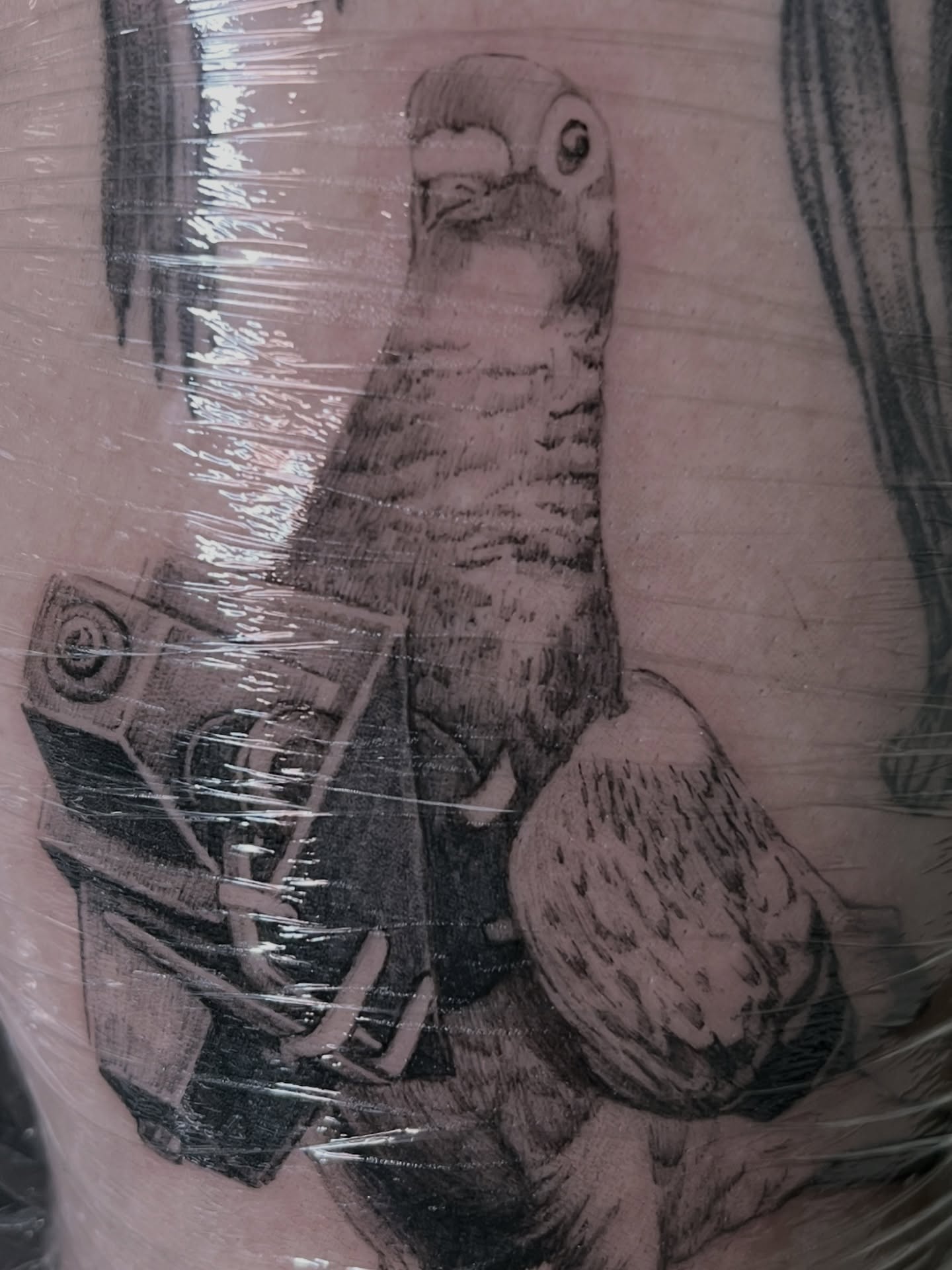 Bird black and grey tattoo on the forearm by HanaKaki