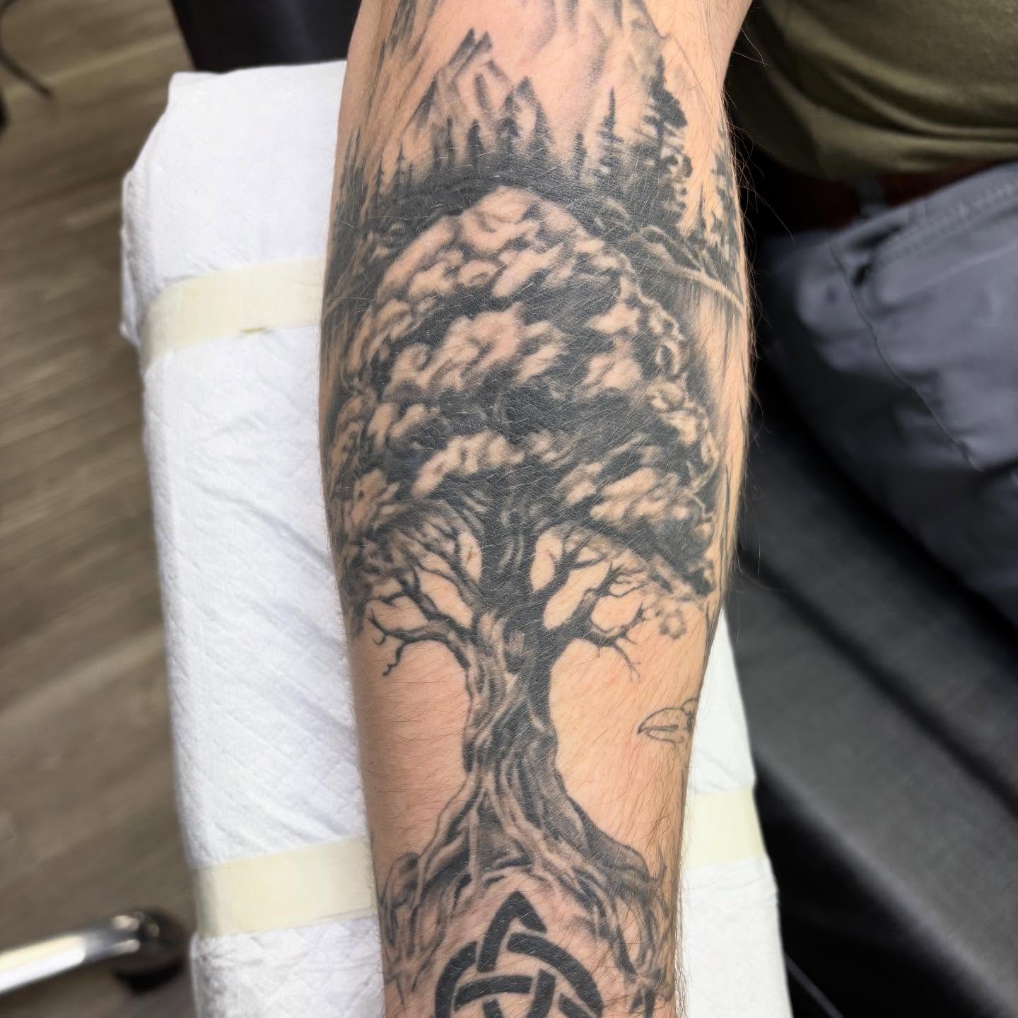 Tree realism tattoo on the forearm by Amy Kolton