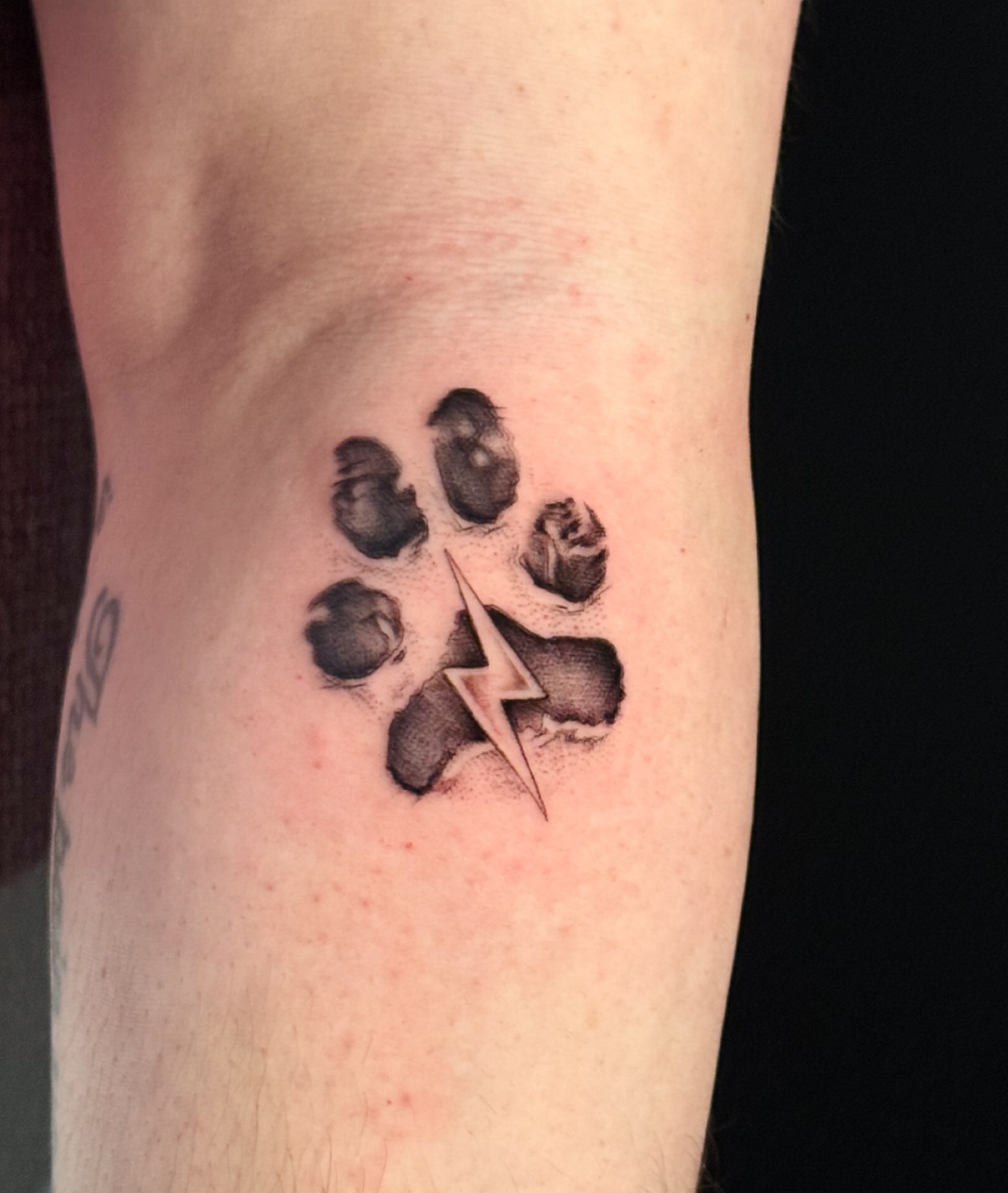 Paw print with lightning bolt realism tattoo on the forearm by HAiZiE