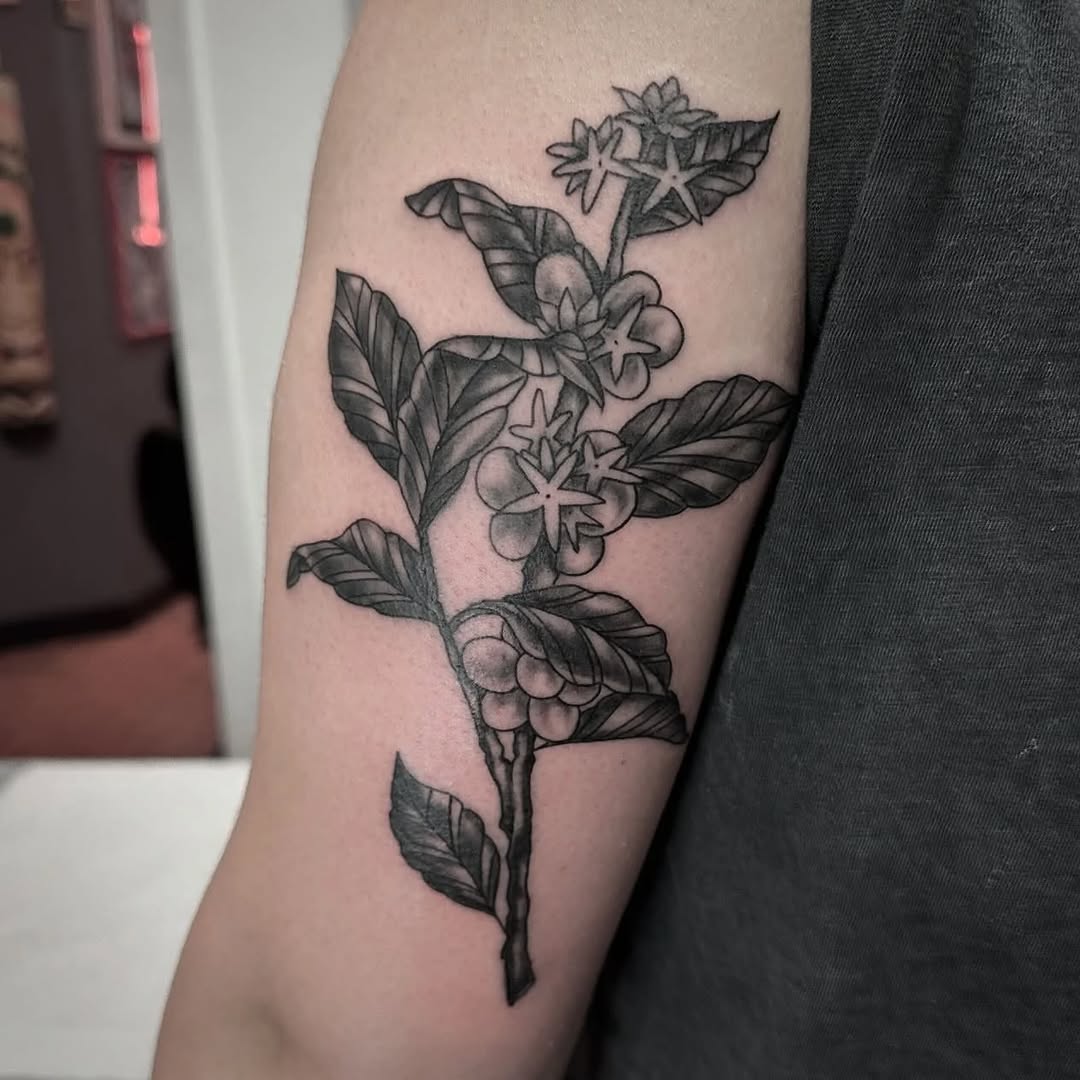 Coffee plant branch dotwork tattoo on the forearm by Rafael Lubowitz