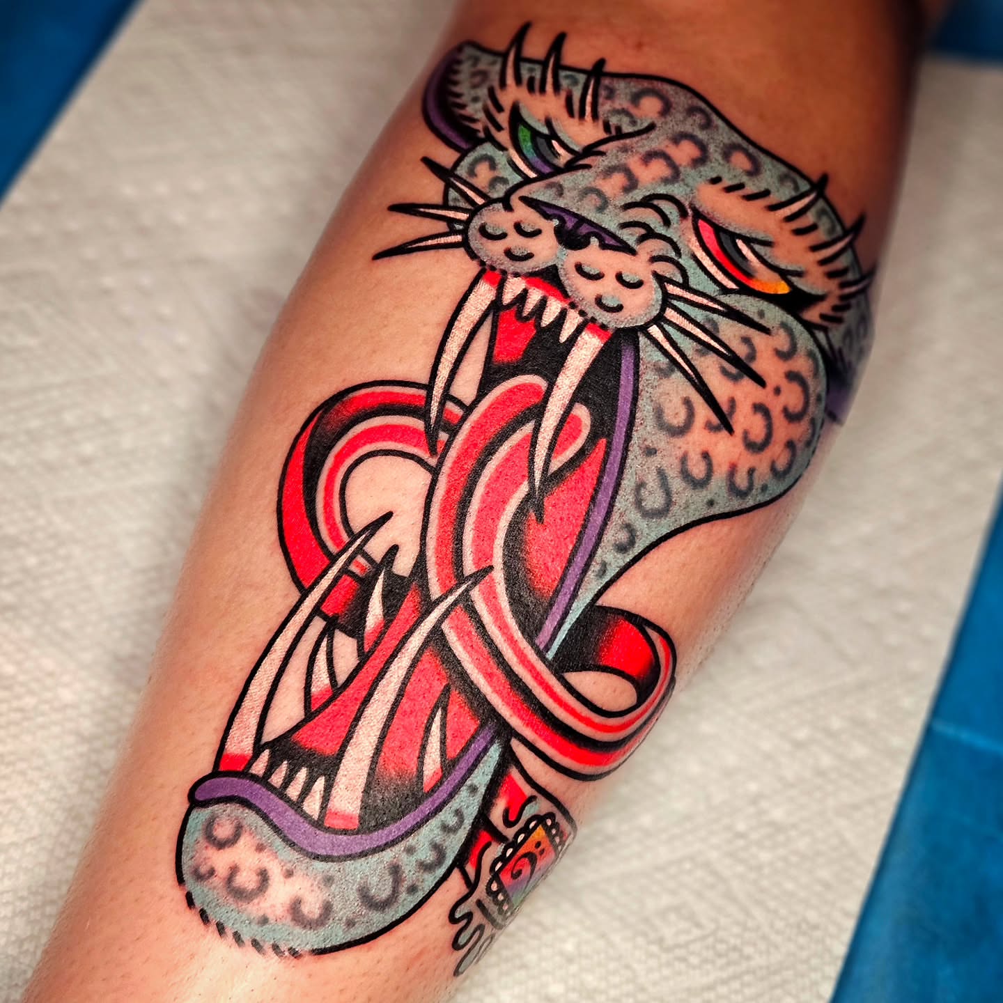Cat and snake American traditional tattoo on the forearm by Mike Graske, Minneapolis, Minnesota