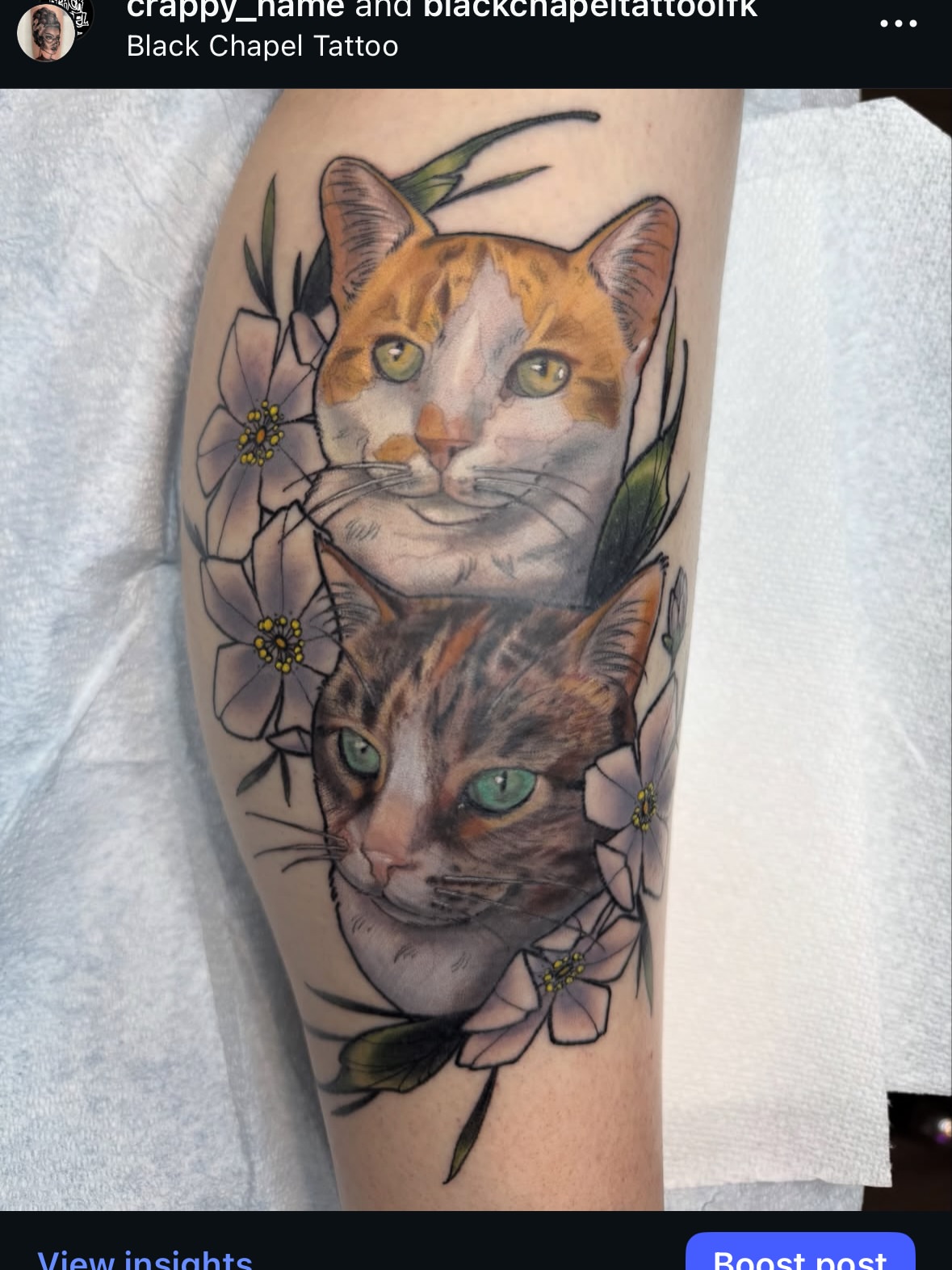 Cats and flowers realism tattoo on the forearm by Erin Bratzler