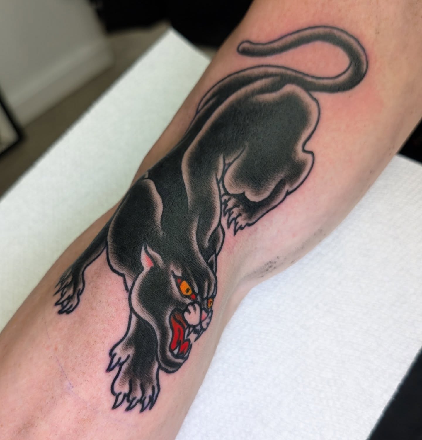 Panther American traditional tattoo on the forearm by Erik O'Steen, Medford, Massachusetts