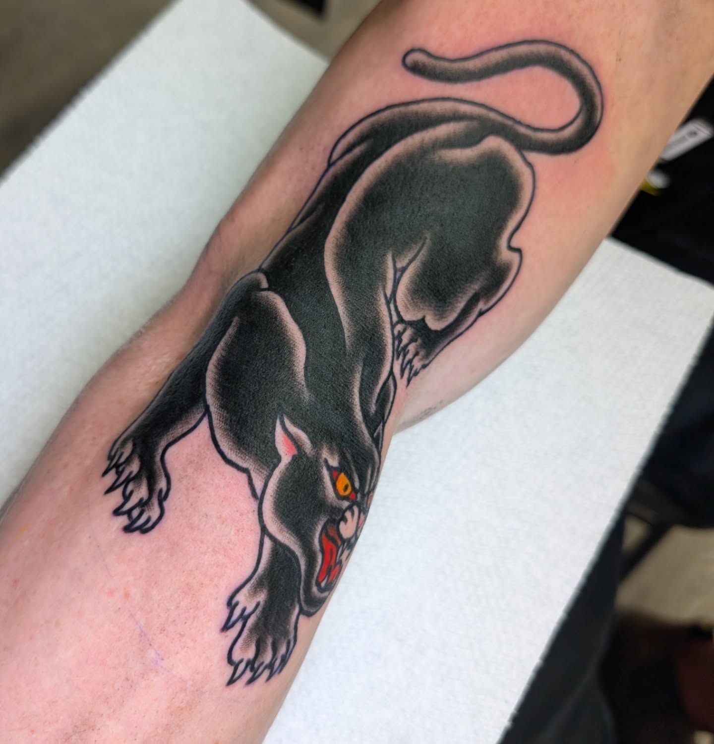 Panther American traditional tattoo on the forearm by Erik O'Steen, Medford, Massachusetts