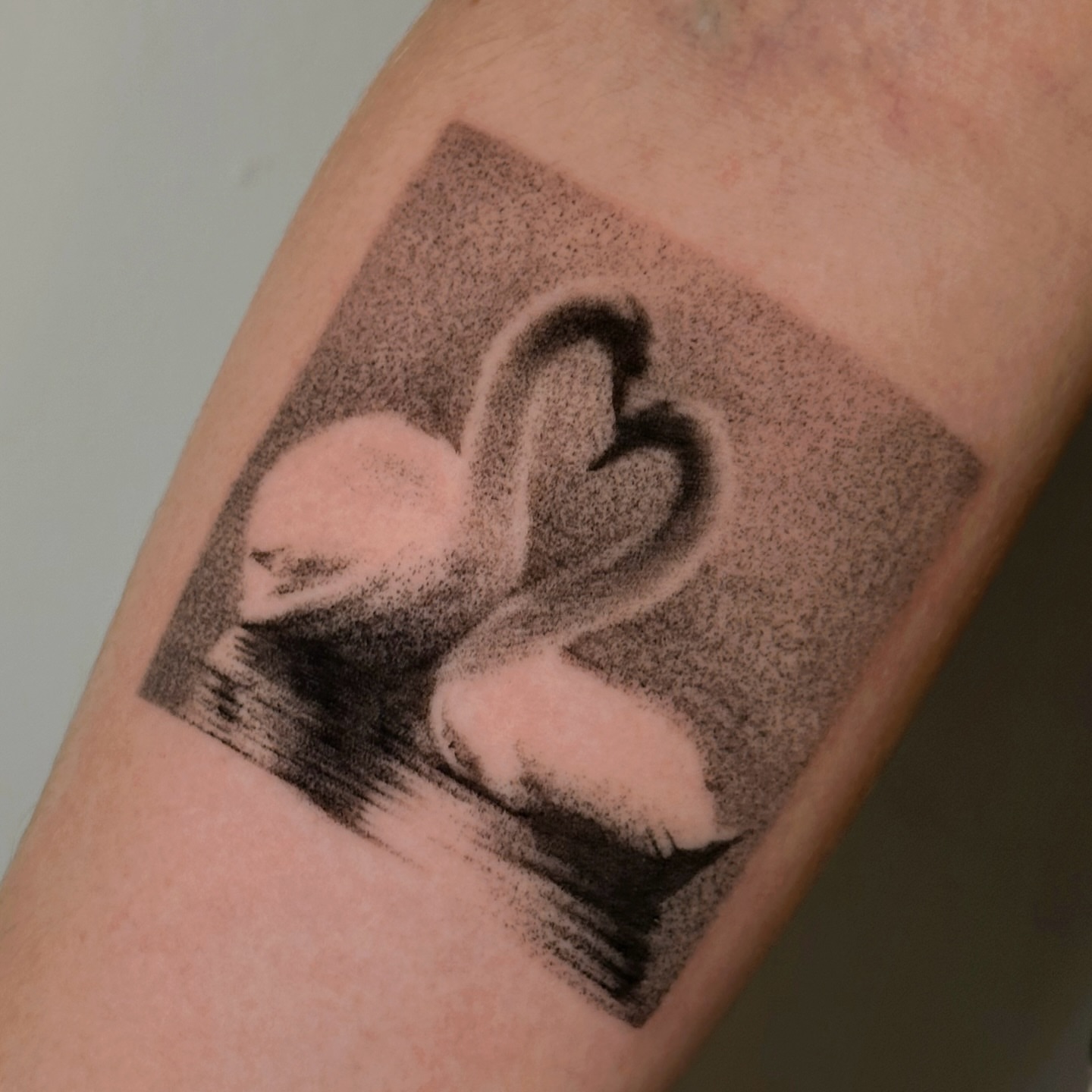 Swan dotwork tattoo on the forearm by kale