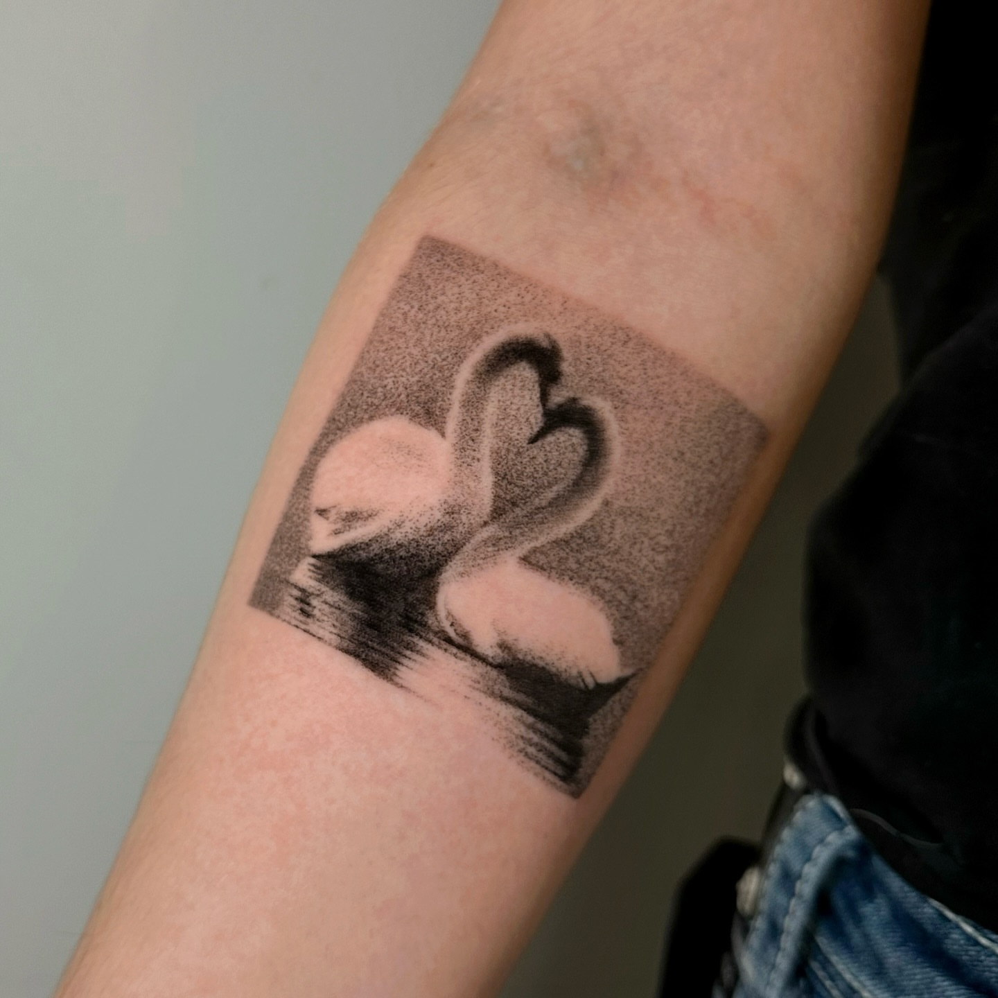 Swans dotwork tattoo on the forearm by kale
