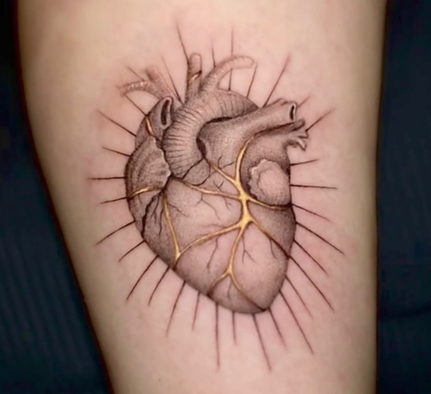 Anatomical heart realism tattoo on the forearm by 𝐒𝐡𝐞𝐫𝐥𝐥𝐲