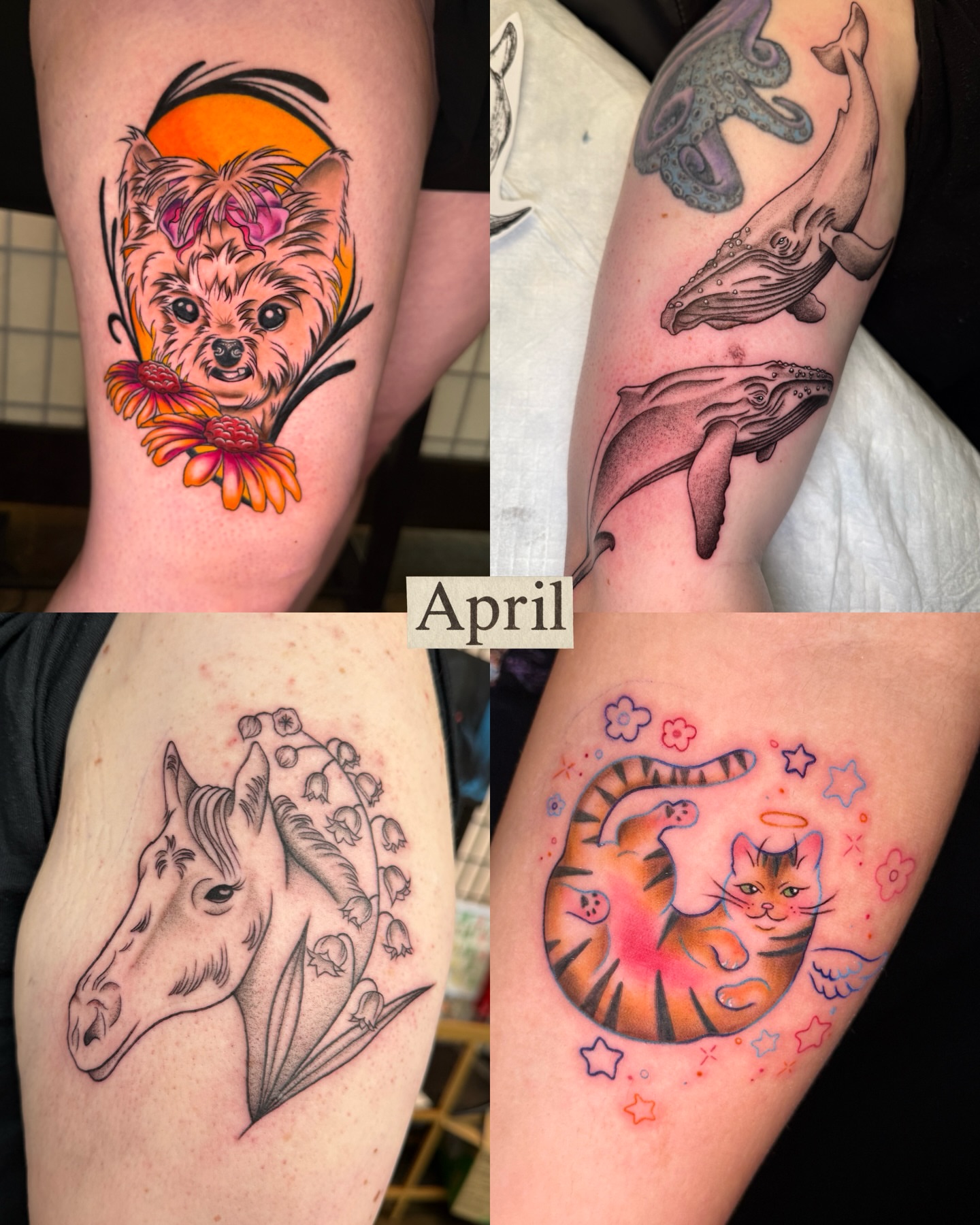 Dog with flower American traditional tattoo on the forearm by ✨Syreena✨