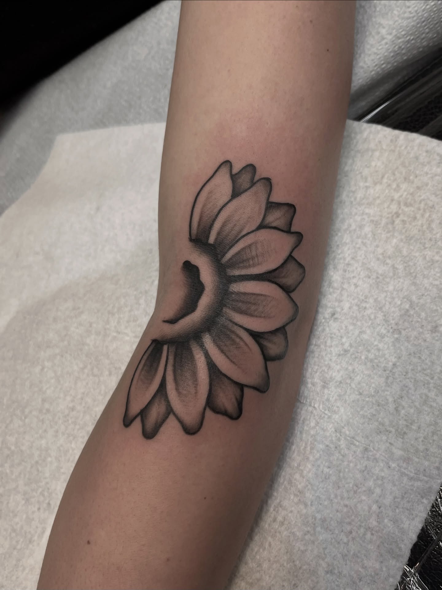 Sunflower black and grey tattoo on the forearm by Macy Bird