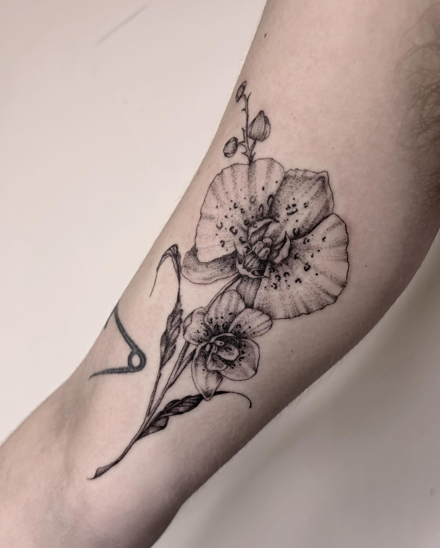 Lily and orchid dotwork tattoo on the forearm by l i z ✶