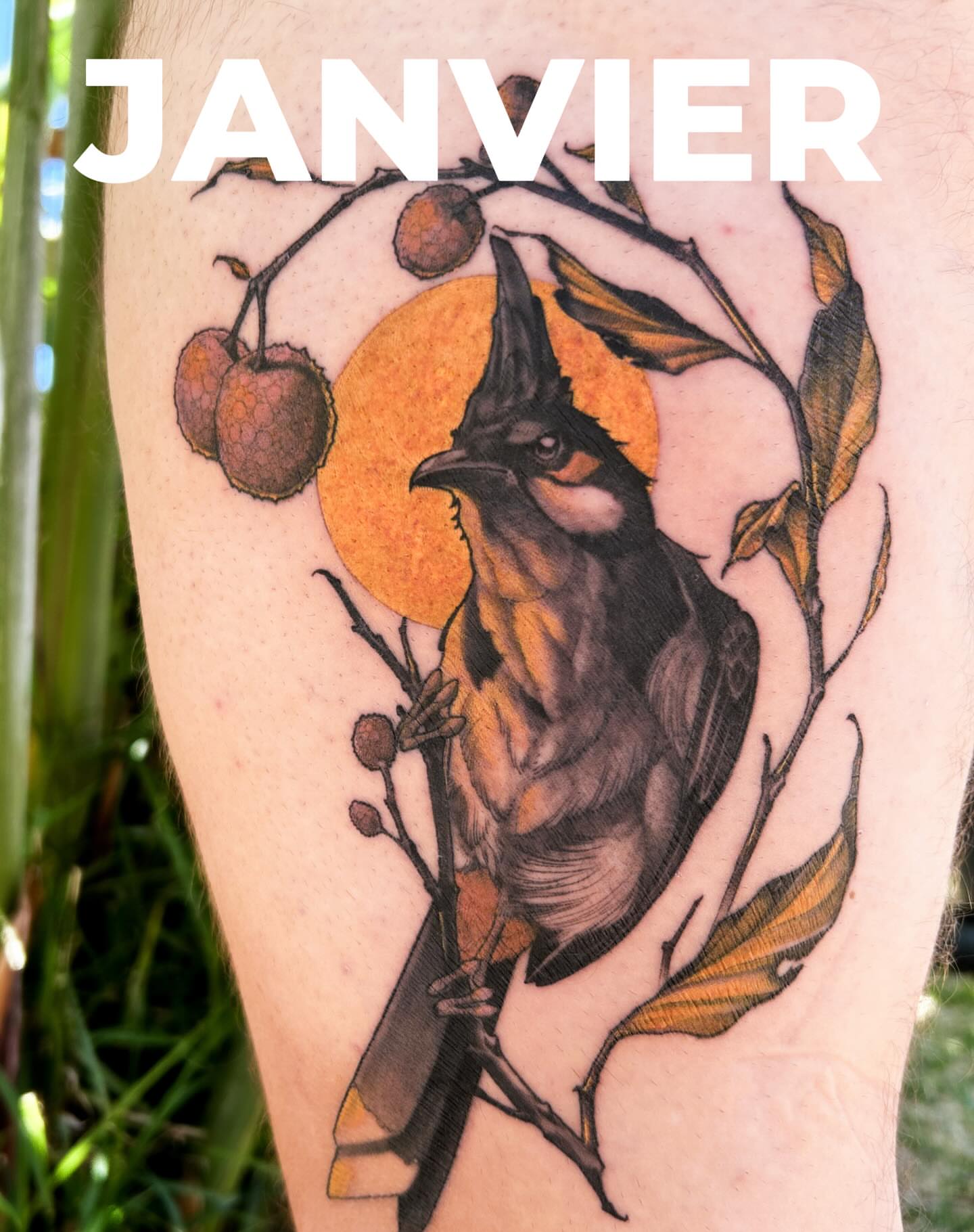 Bird and sun realism tattoo on the thigh by Eltche Art Tattoo