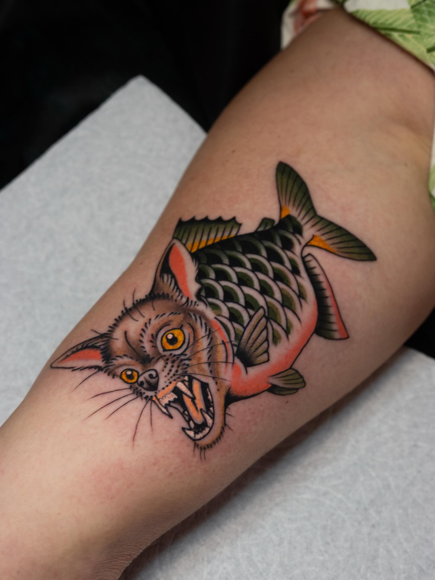 Fish with cat head American traditional tattoo on the forearm by Danny Derrick, San Luis Obispo, California