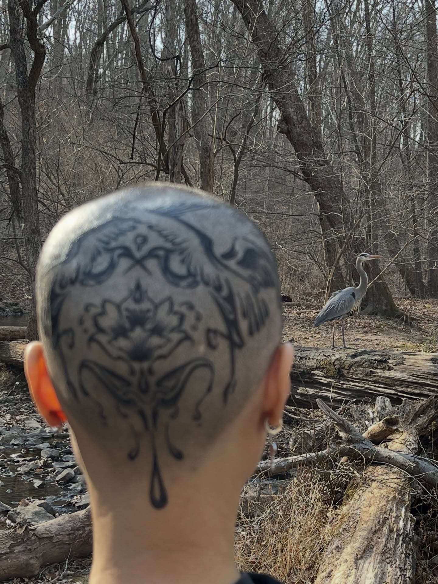 Heron black and grey tattoo on the head by mia