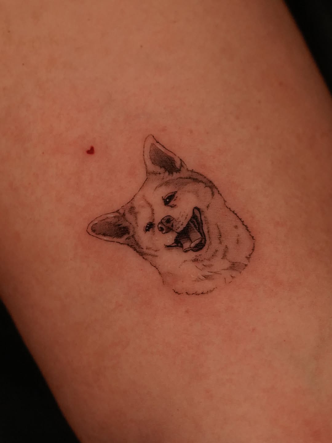 Tattoo by @eddiectattoo — realism, fine_line