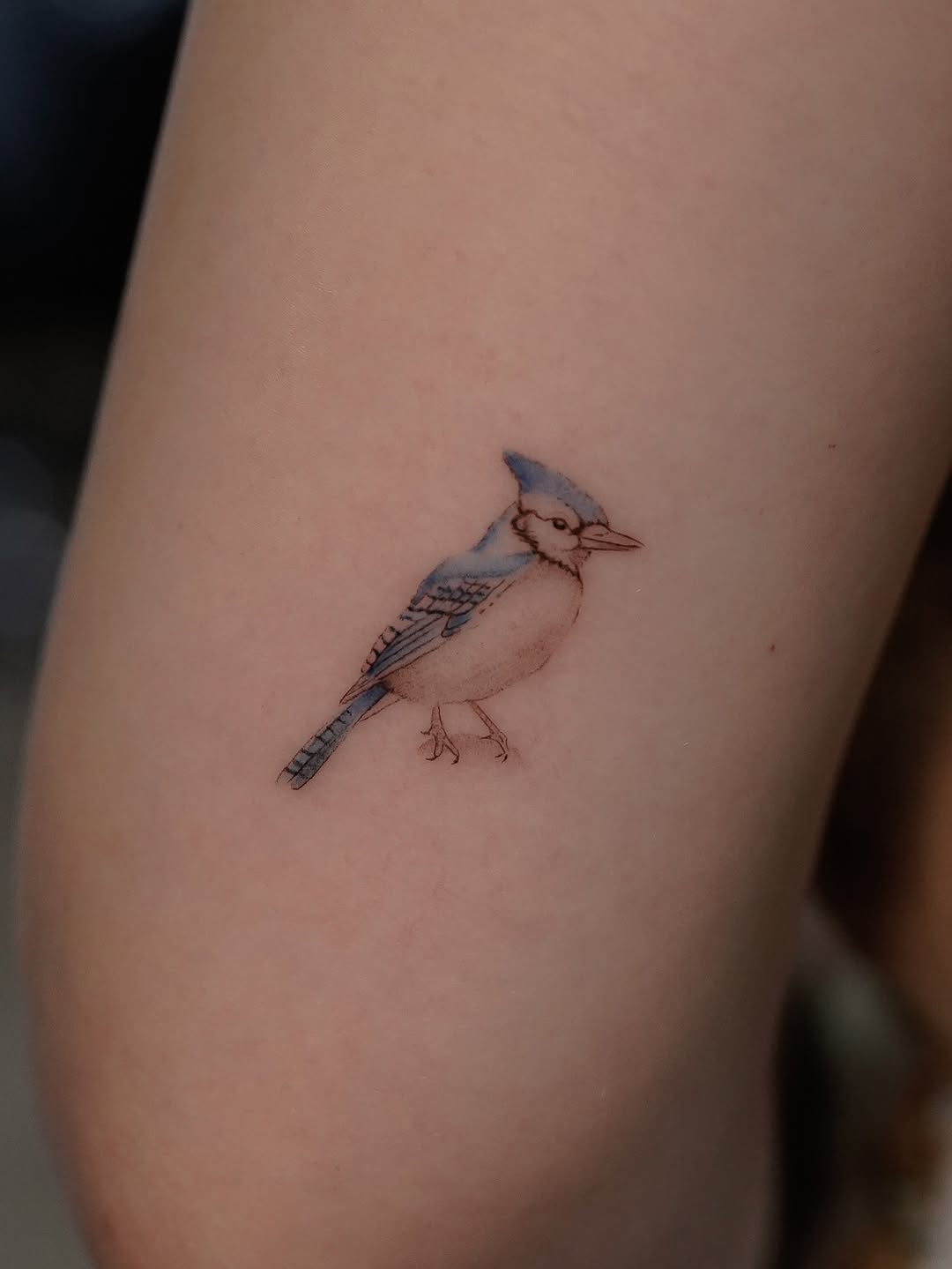 Tattoo by @eddiectattoo — fine_line, watercolor