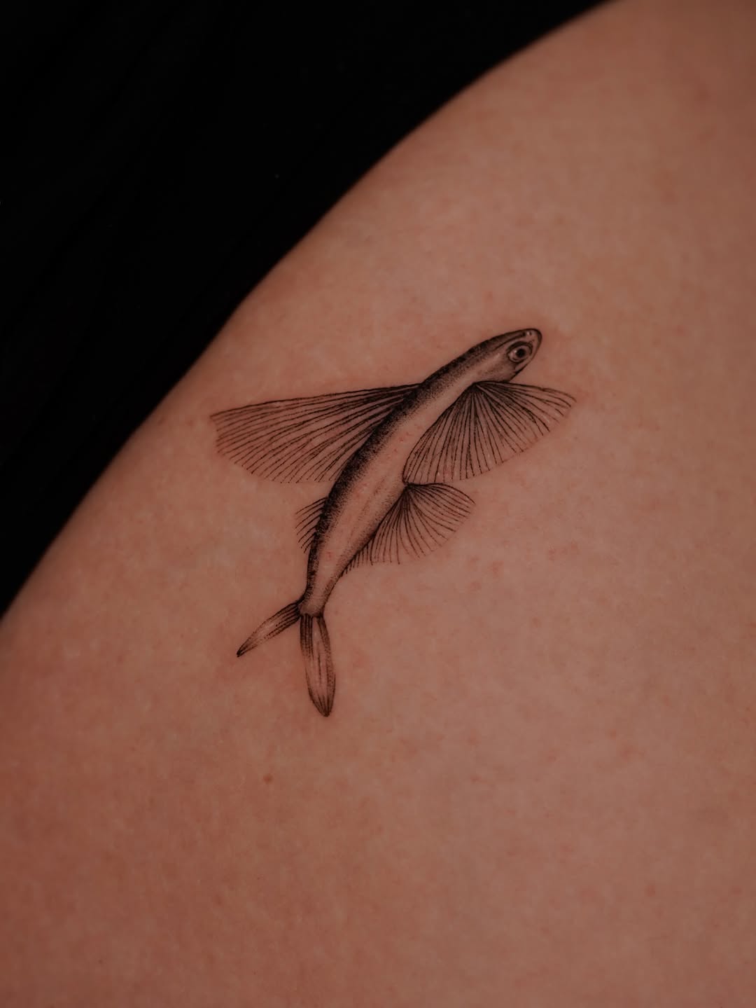 Tattoo by @eddiectattoo — fine_line, realism