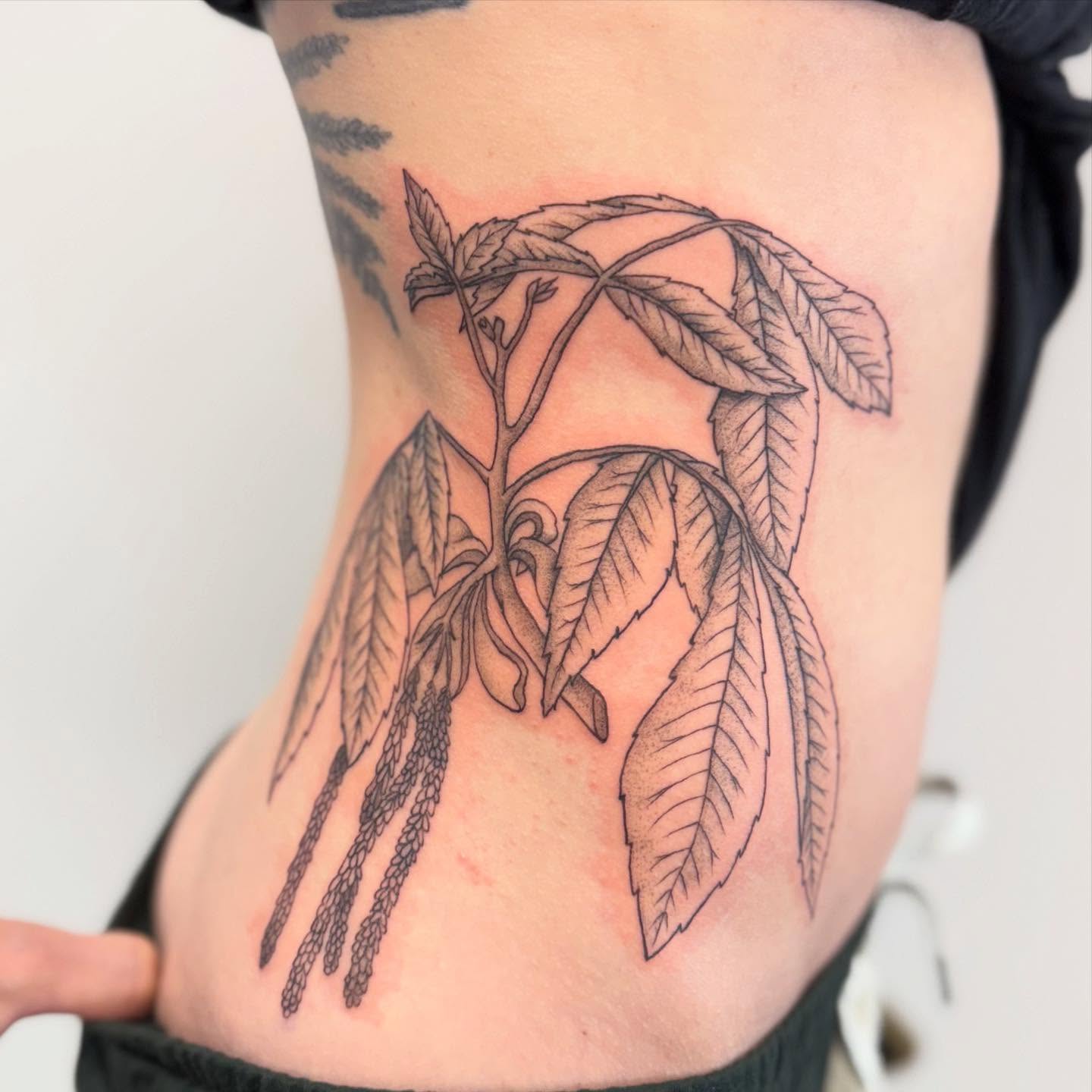 Plant black and grey tattoo on the ribs by Felicity