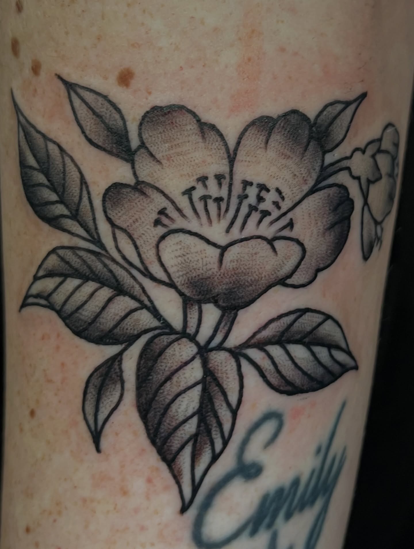 Flower black and grey tattoo on the forearm by You’ll save me in your phone as Tattoo Tim