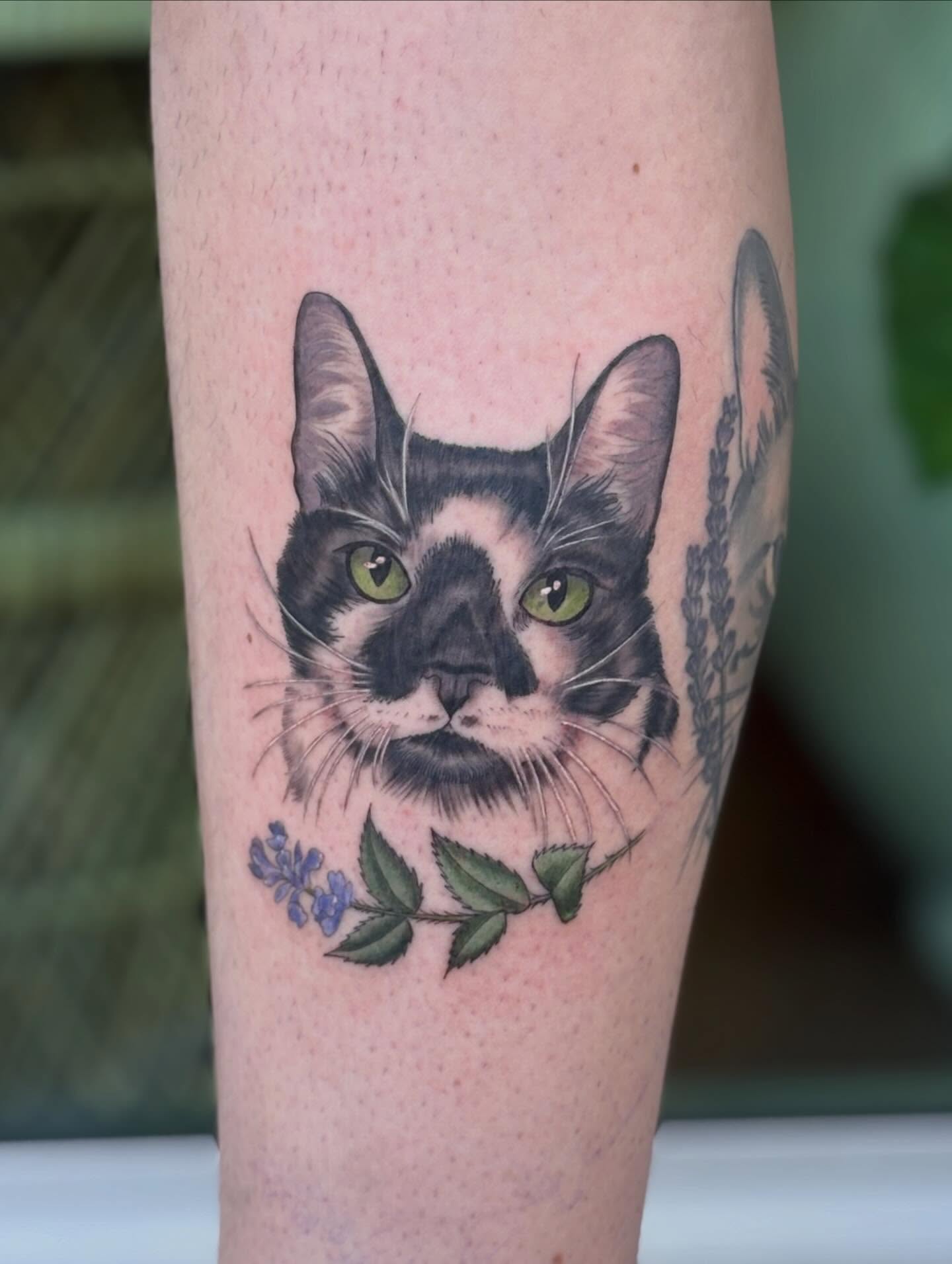 Cat realism tattoo on the forearm by Miami Tattoo Artist π Mel Carrasco
