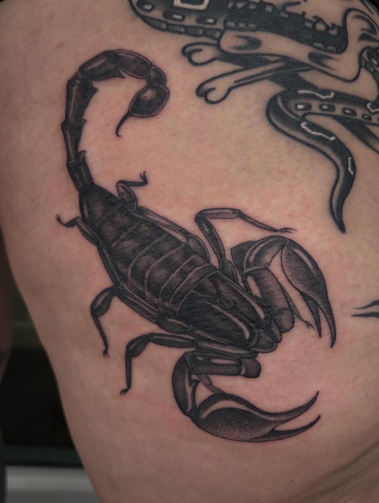 Scorpion black and grey tattoo on the thigh by Miami Tattoo Artist π Mel Carrasco