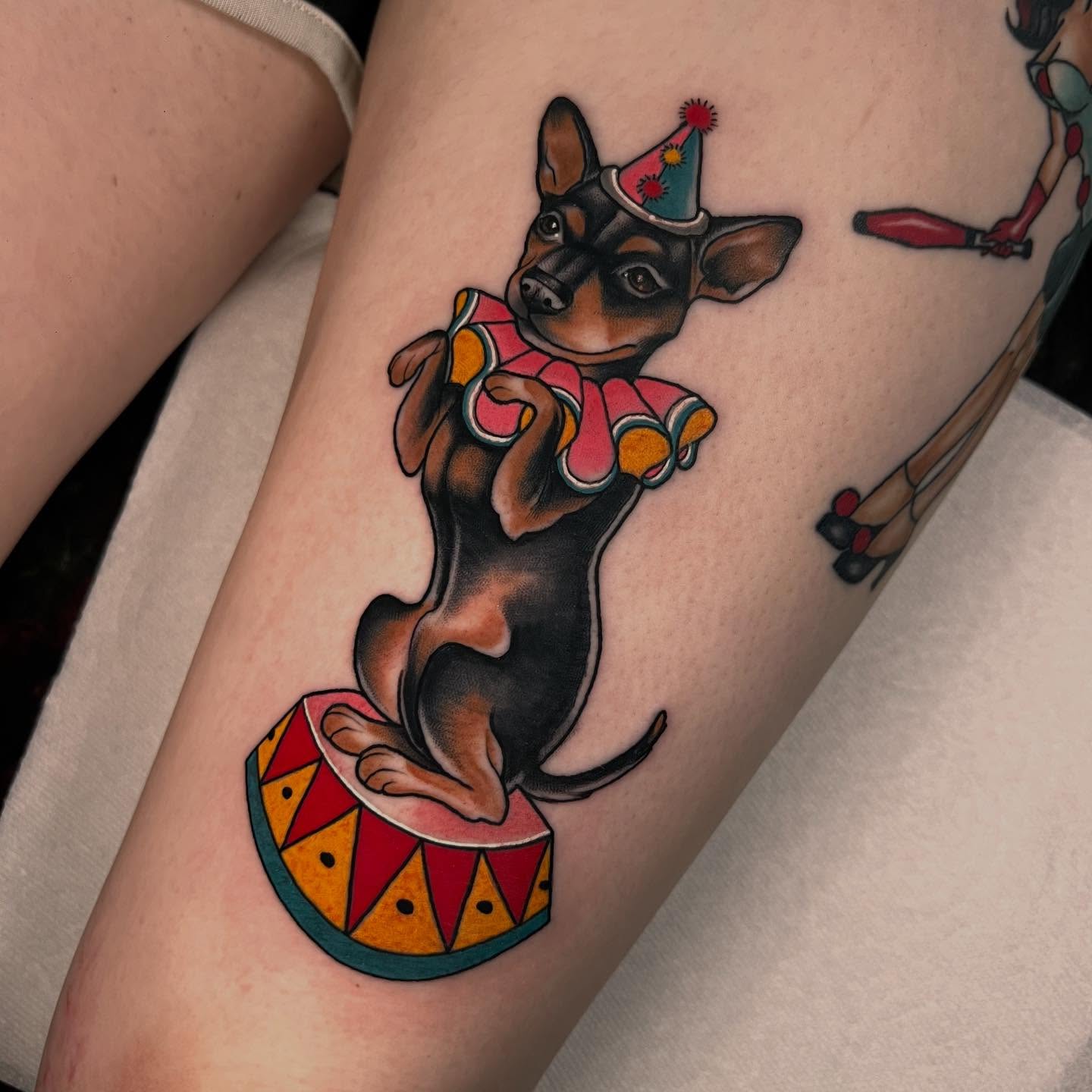 Circus dog balancing American traditional tattoo on the thigh by 𝙻𝚒𝚊 𝙹𝚎𝚙𝚙𝚎𝚜𝚎𝚗