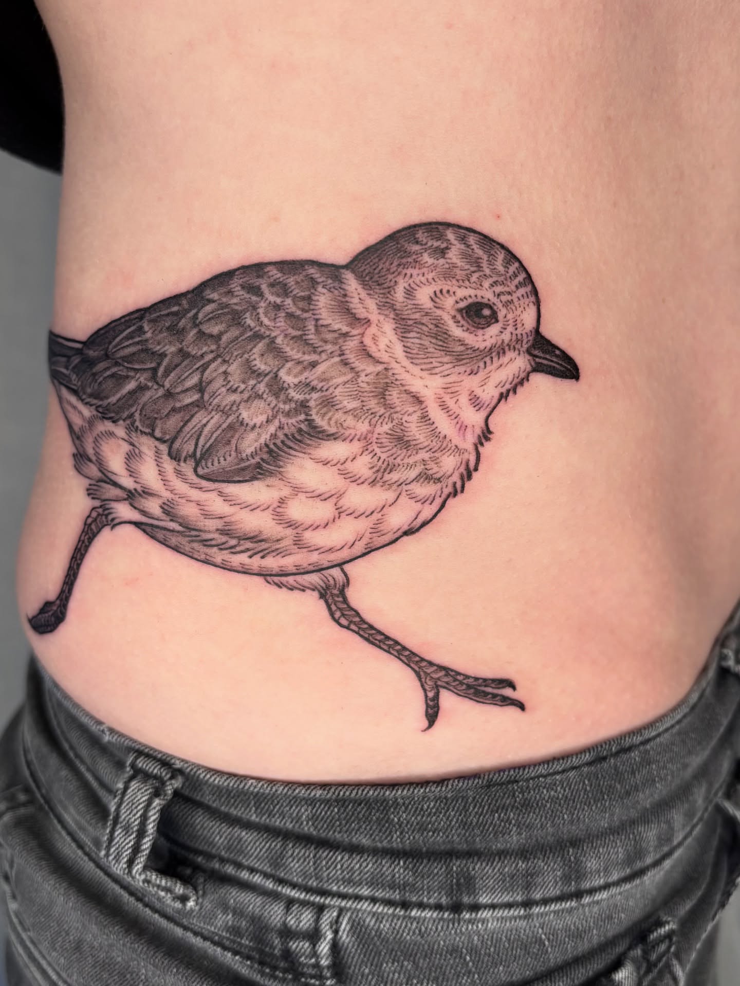 Bird realism tattoo on the ribs by Maggie