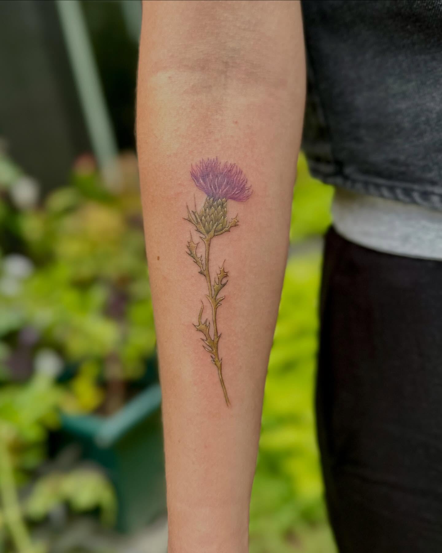 Thistle realism tattoo on the forearm by 🌼Kristen Kooster Tattoos🌼
