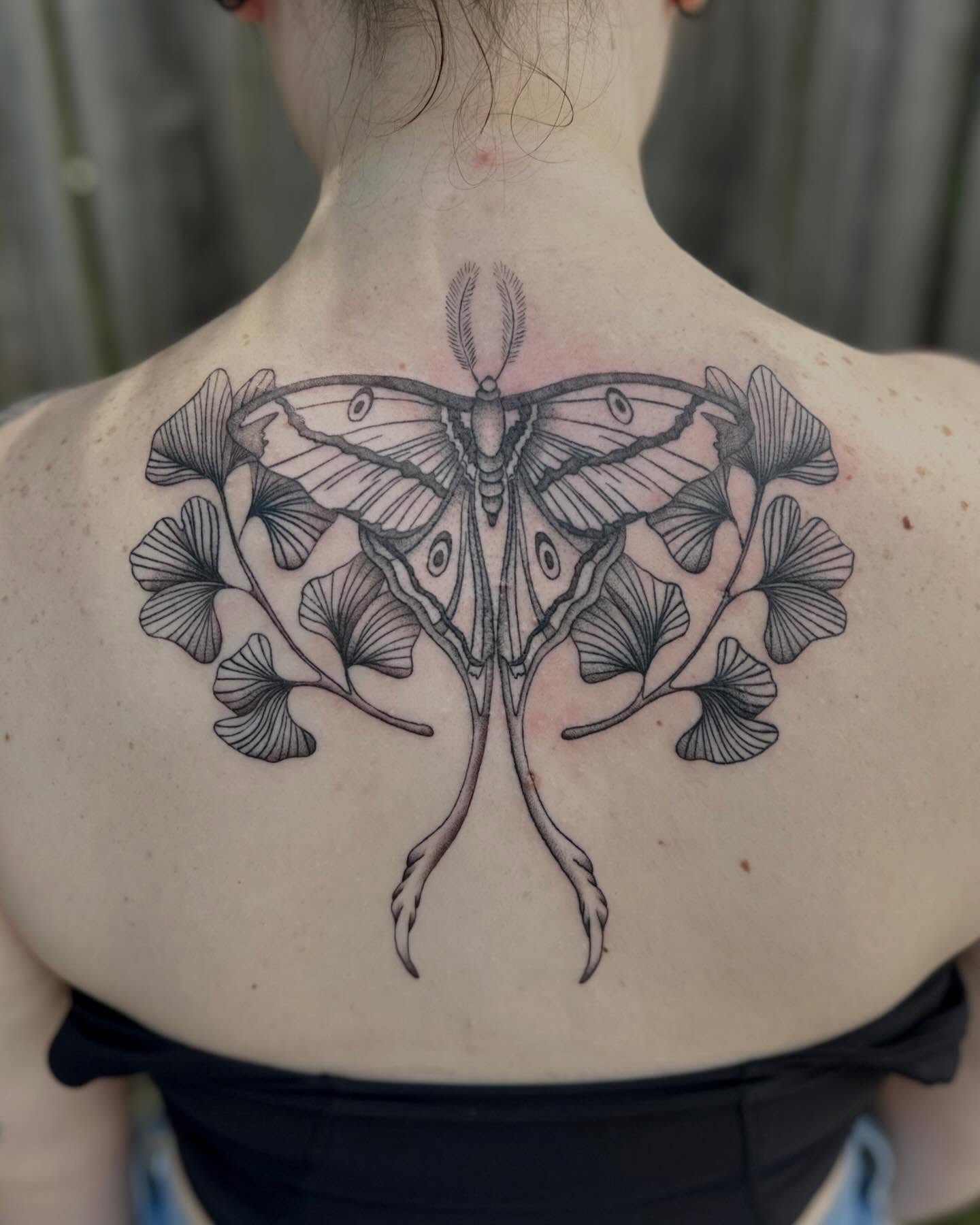 Moth and ginkgo leaves black and grey tattoo on the back by 🌼Kristen Kooster Tattoos🌼